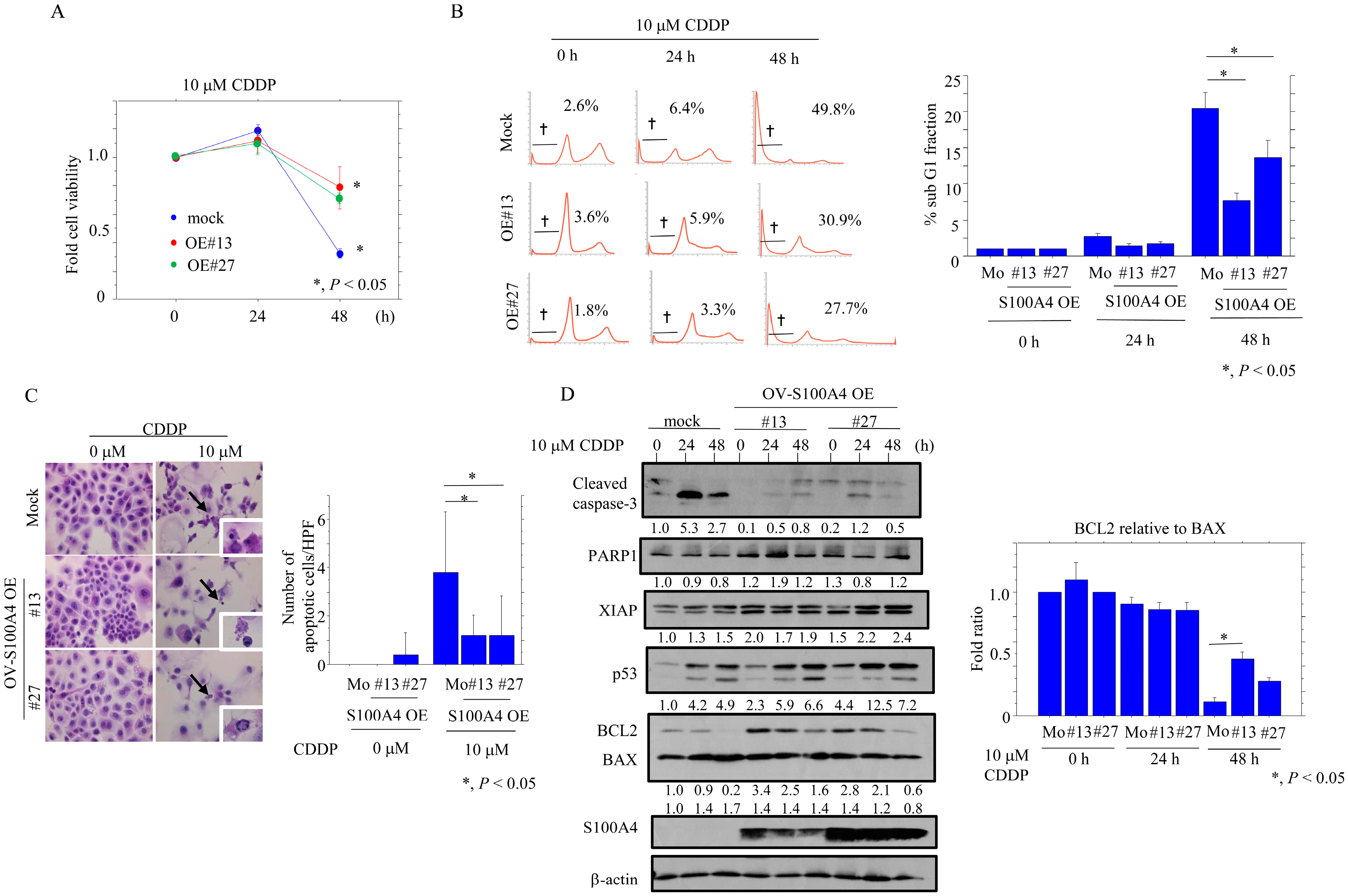 Cancers 17 00184 g004