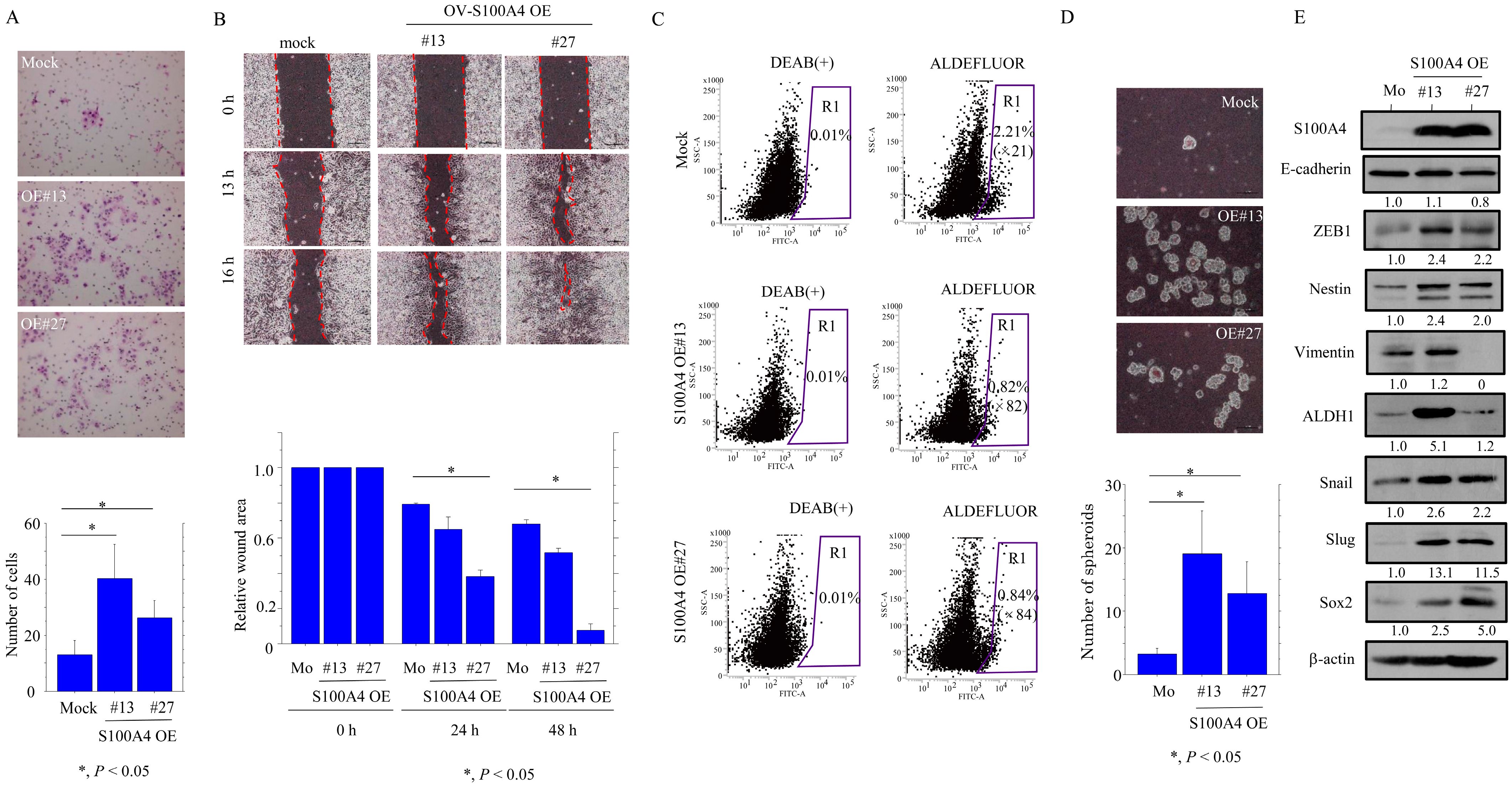 Cancers 17 00184 g006