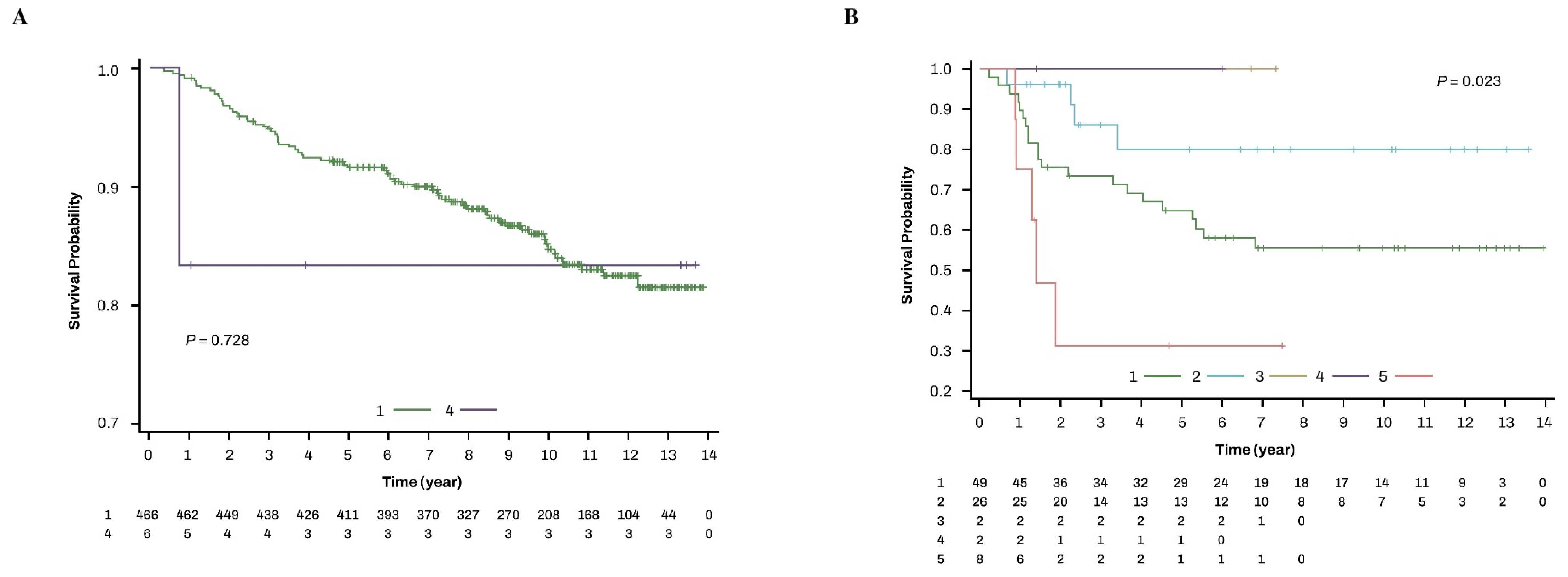 Cancers 17 00187 g003