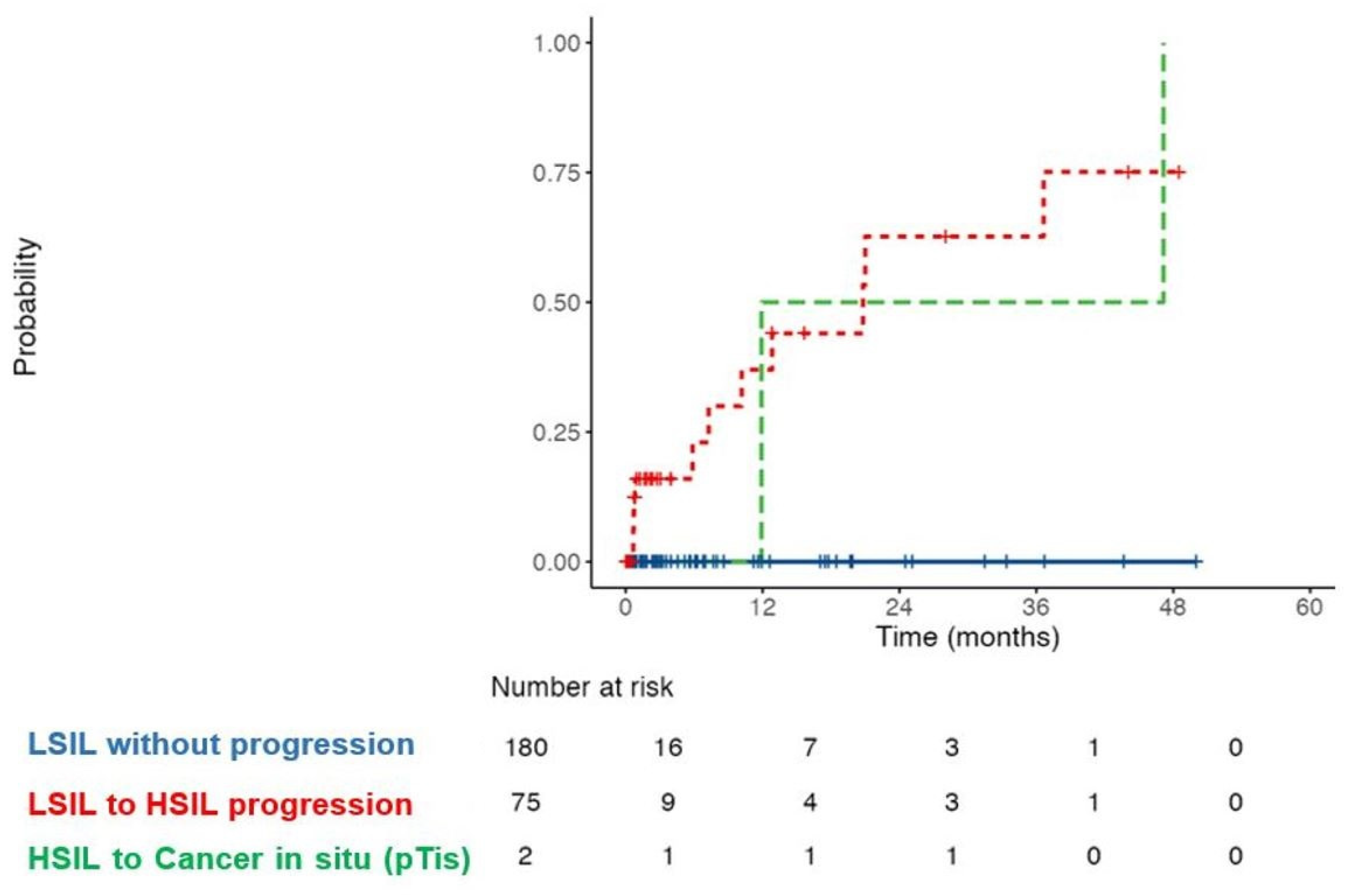 Cancers 17 00193 g004