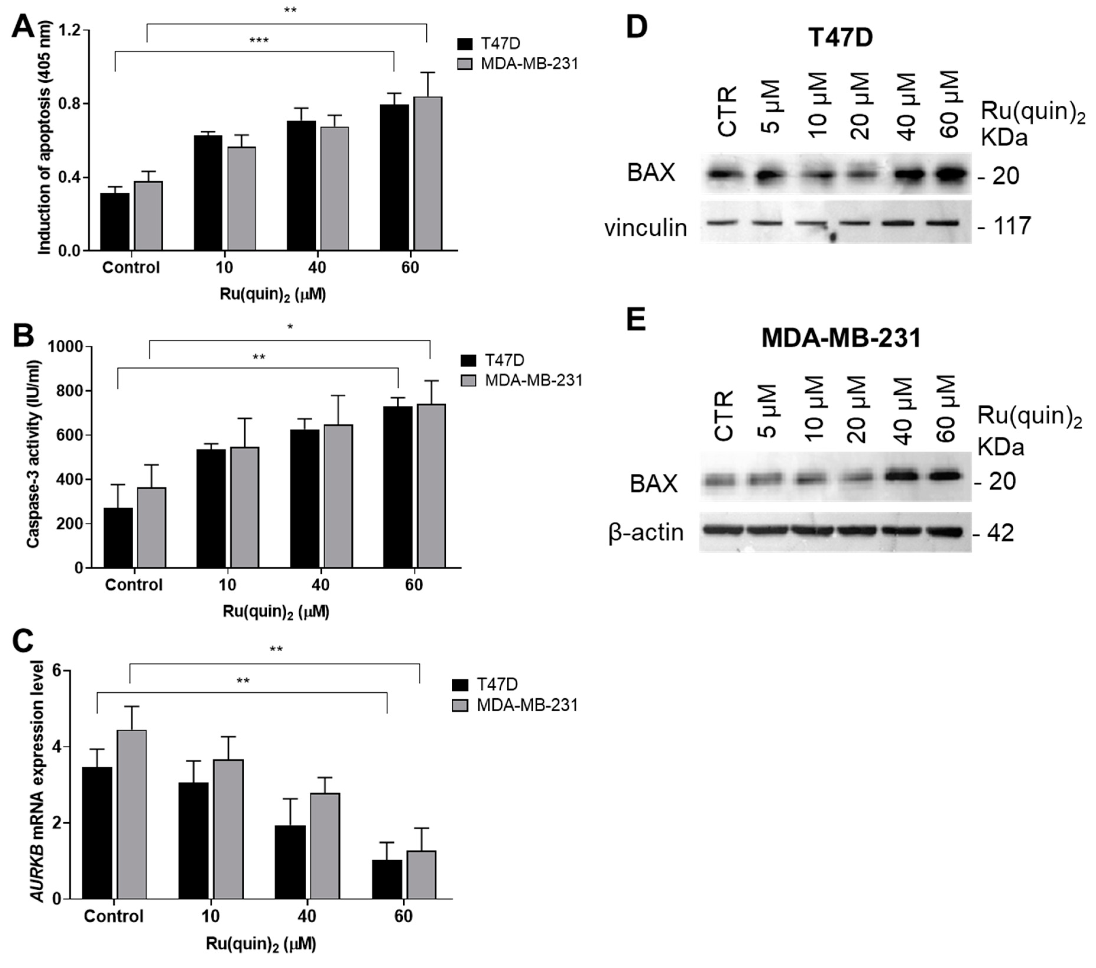Cancers 17 00195 g002