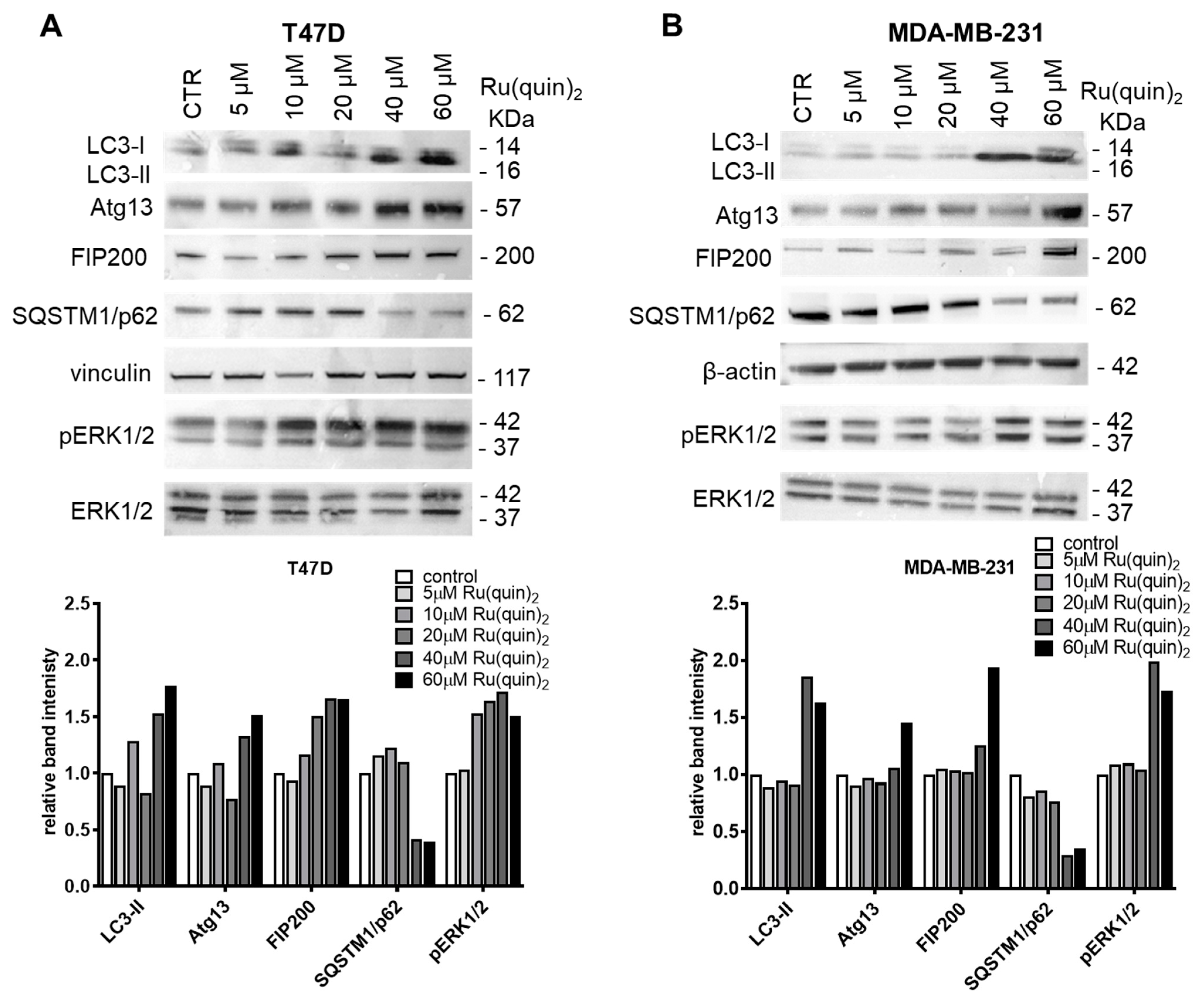 Cancers 17 00195 g003