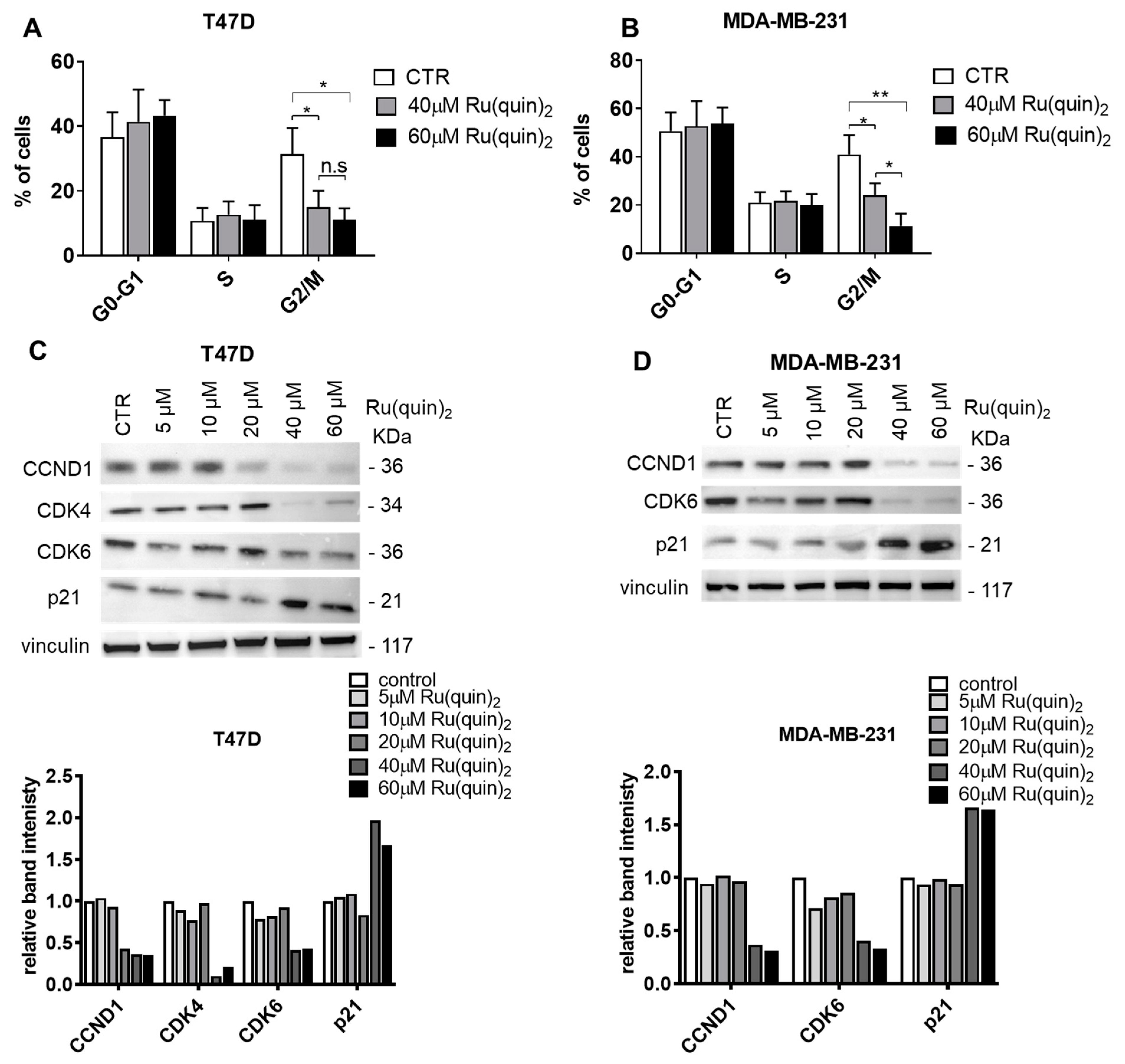 Cancers 17 00195 g004