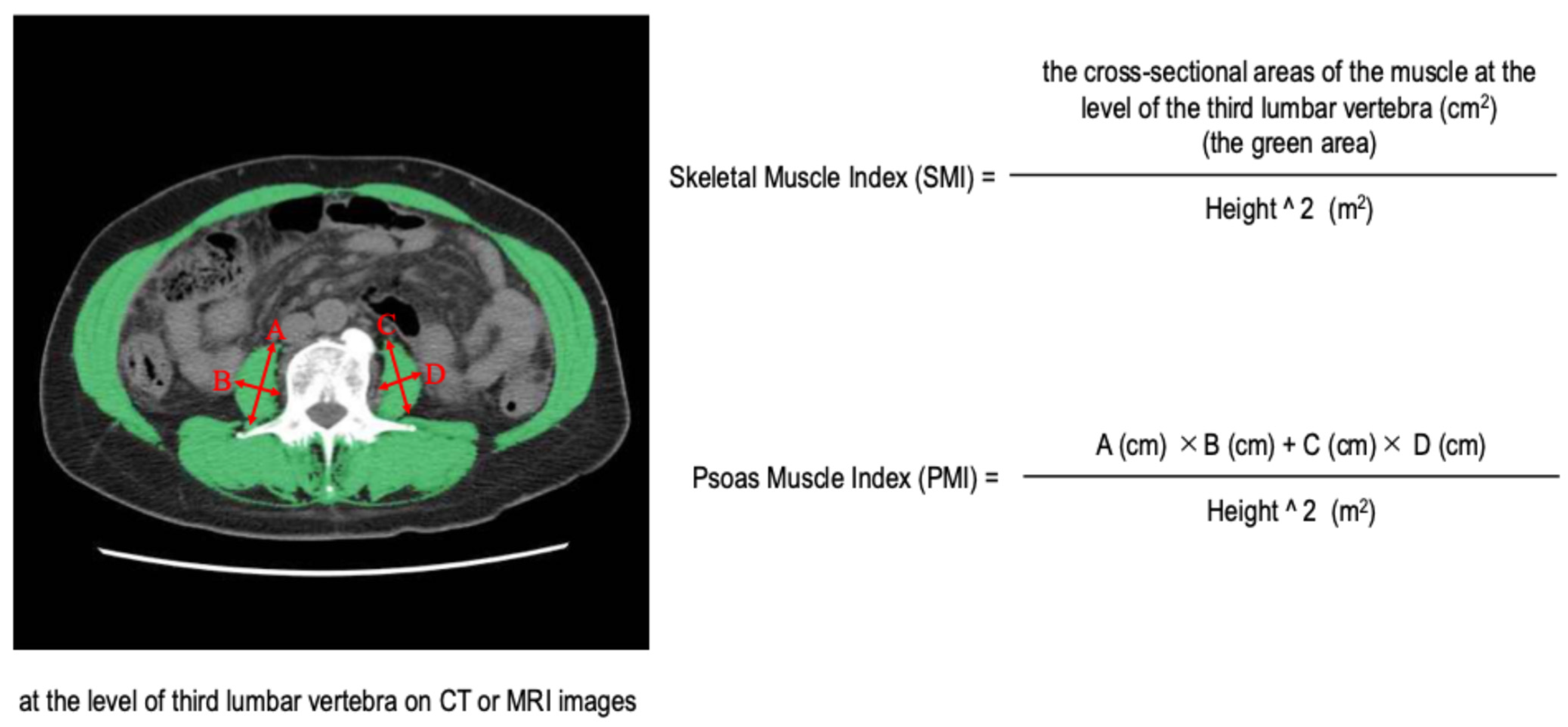 Cancers 17 00209 g001