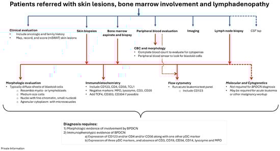 Cancers 17 00221 g004