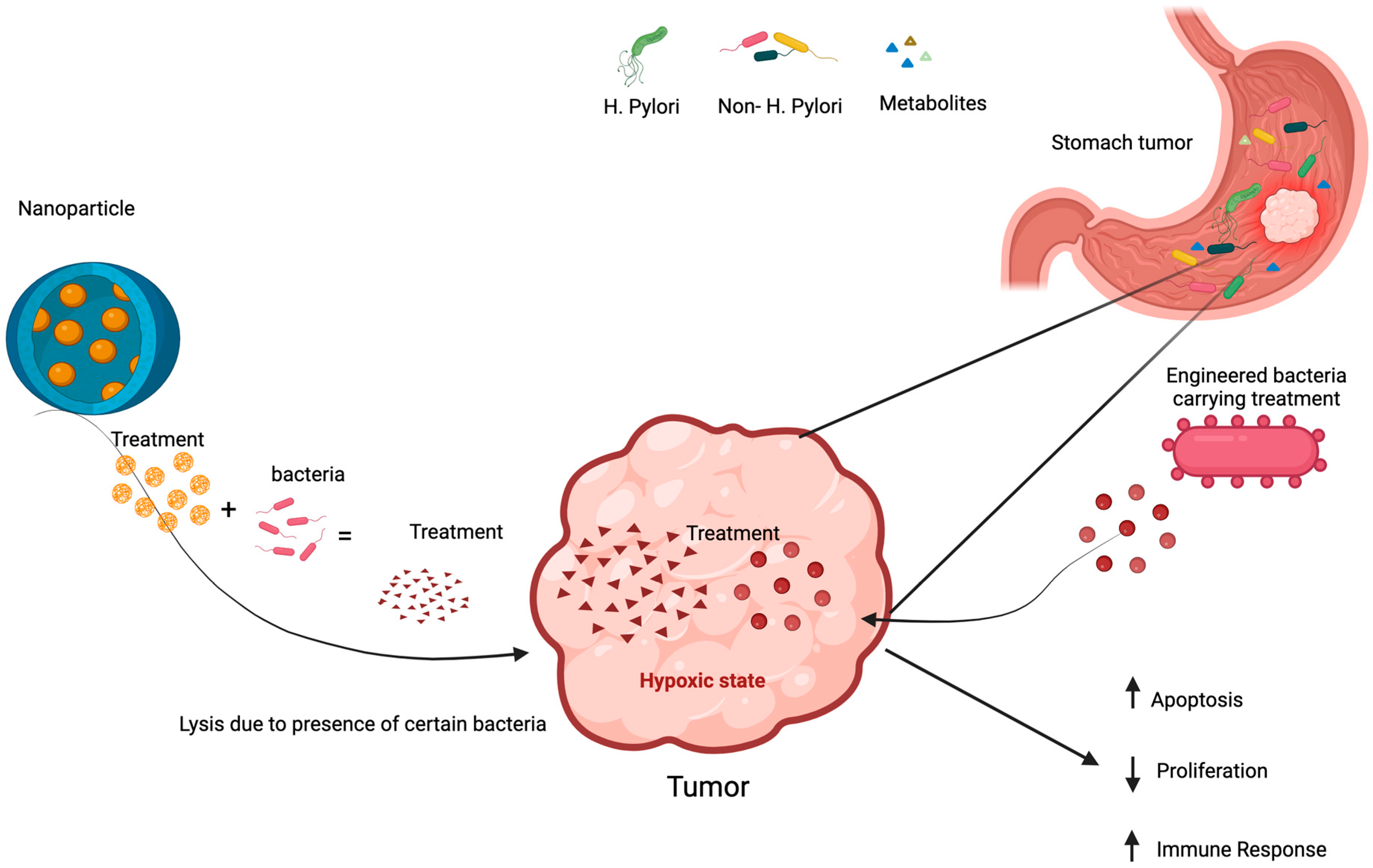 Cancers 17 00226 g002