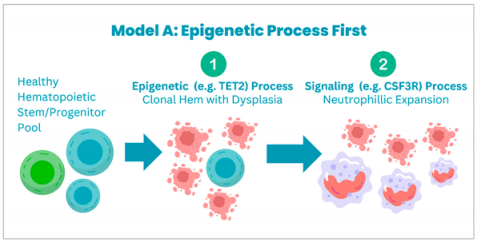 Cancers 17 00227 i001