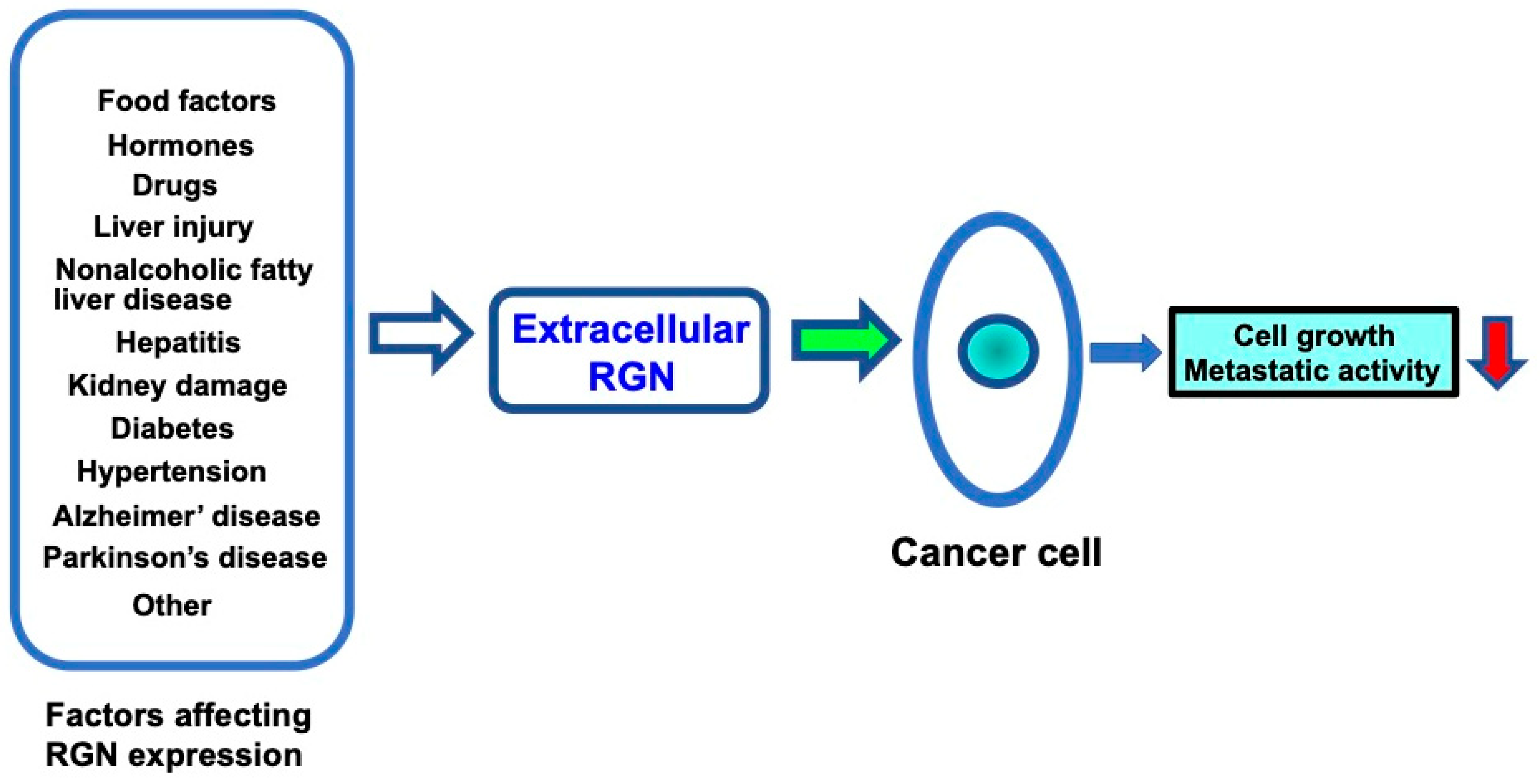 Cancers 17 00240 g002