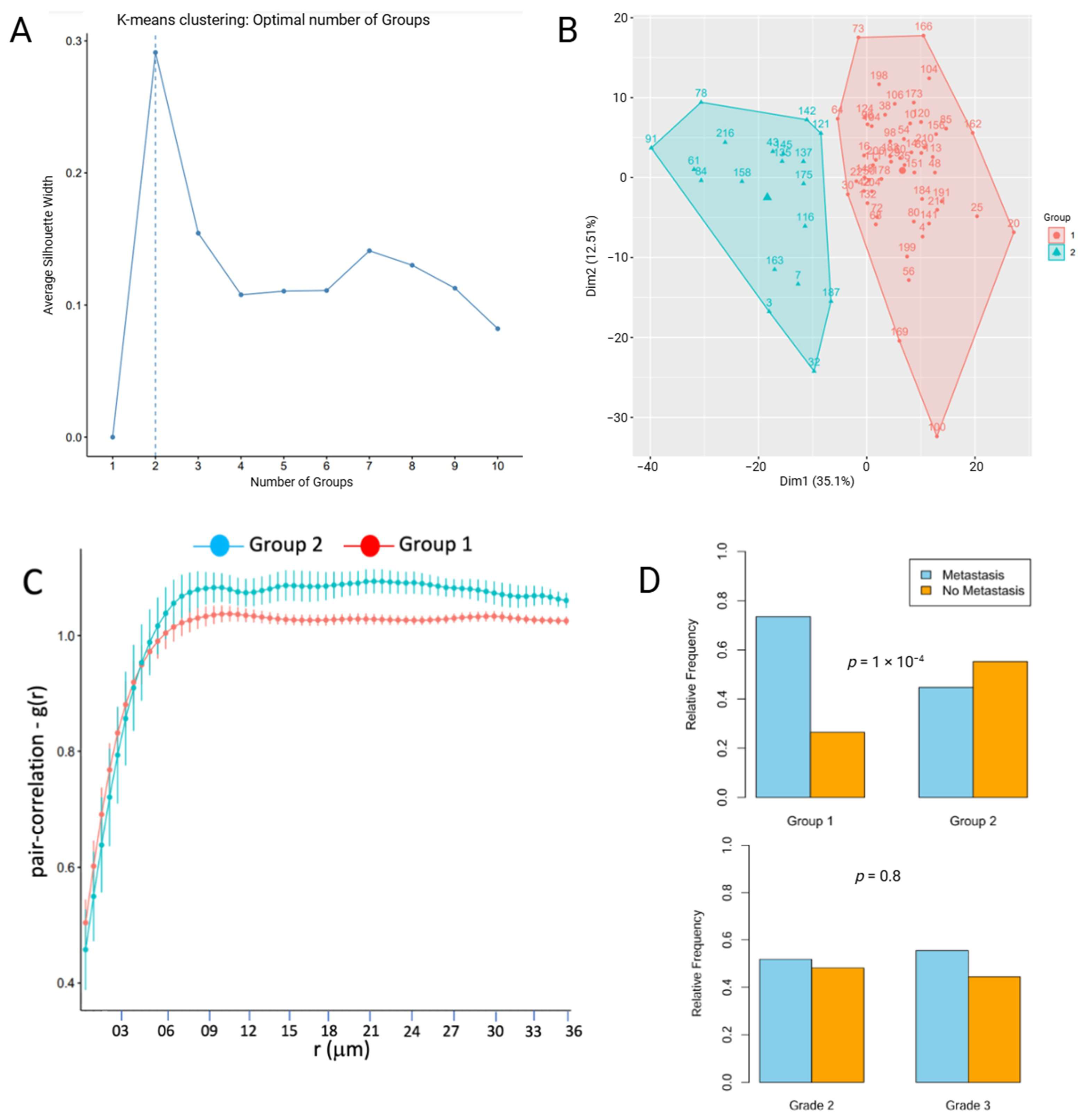 Cancers 17 00249 g003