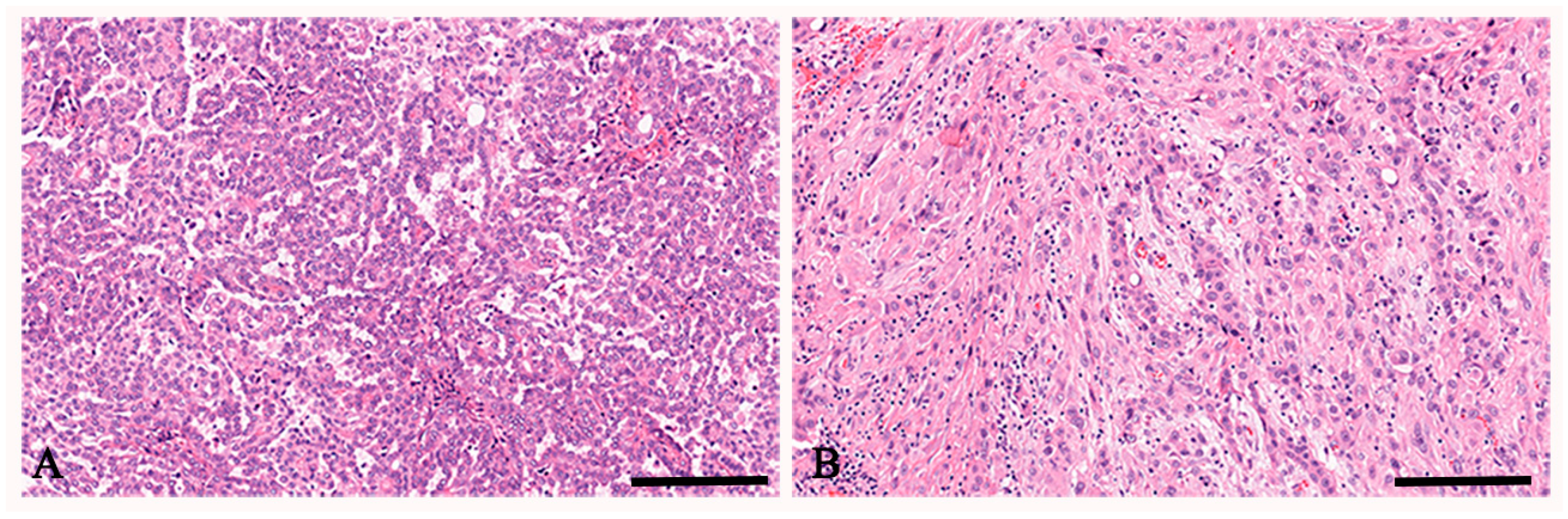 Cancers 17 00252 g001