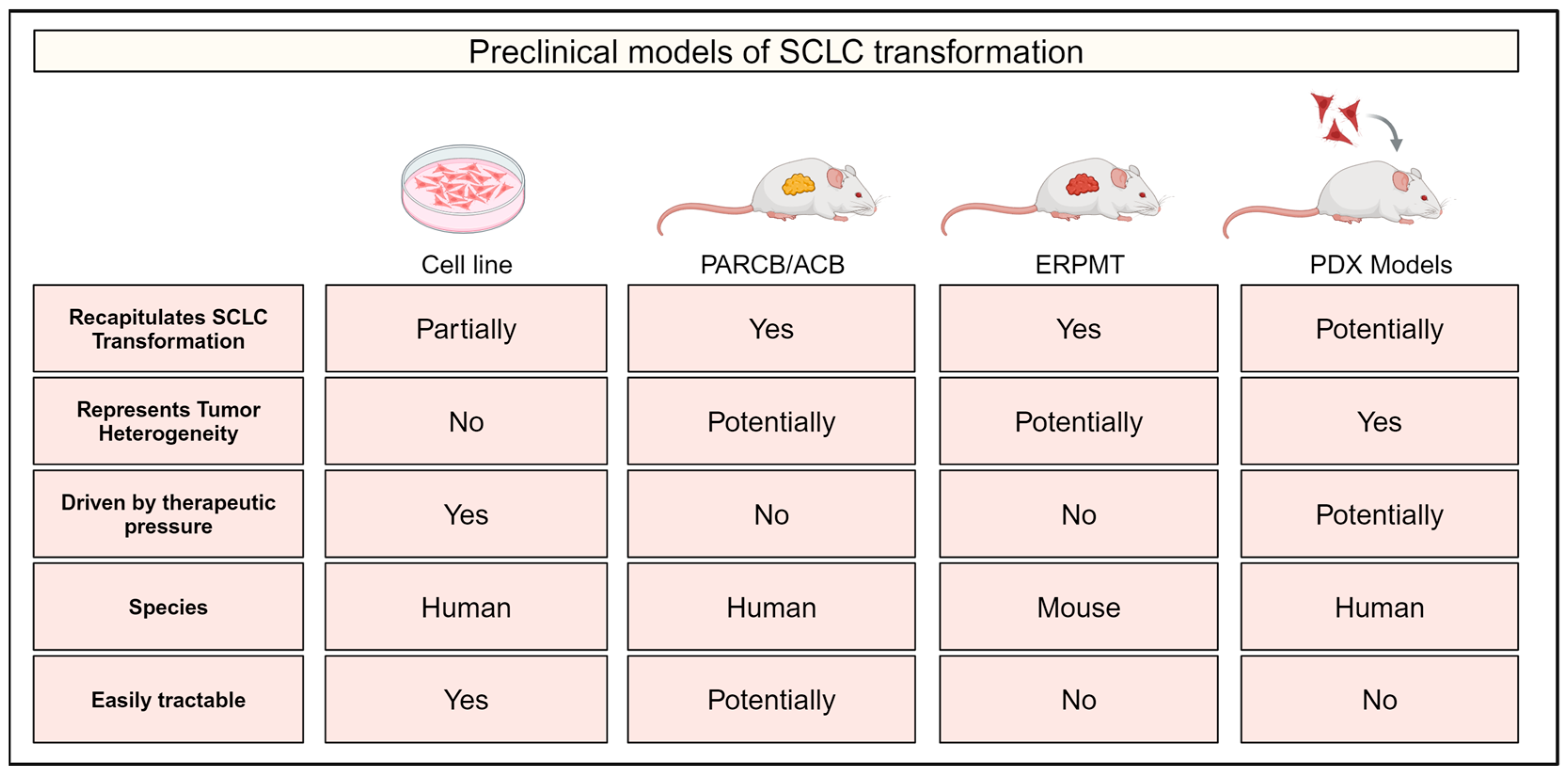 Cancers 17 00260 g002