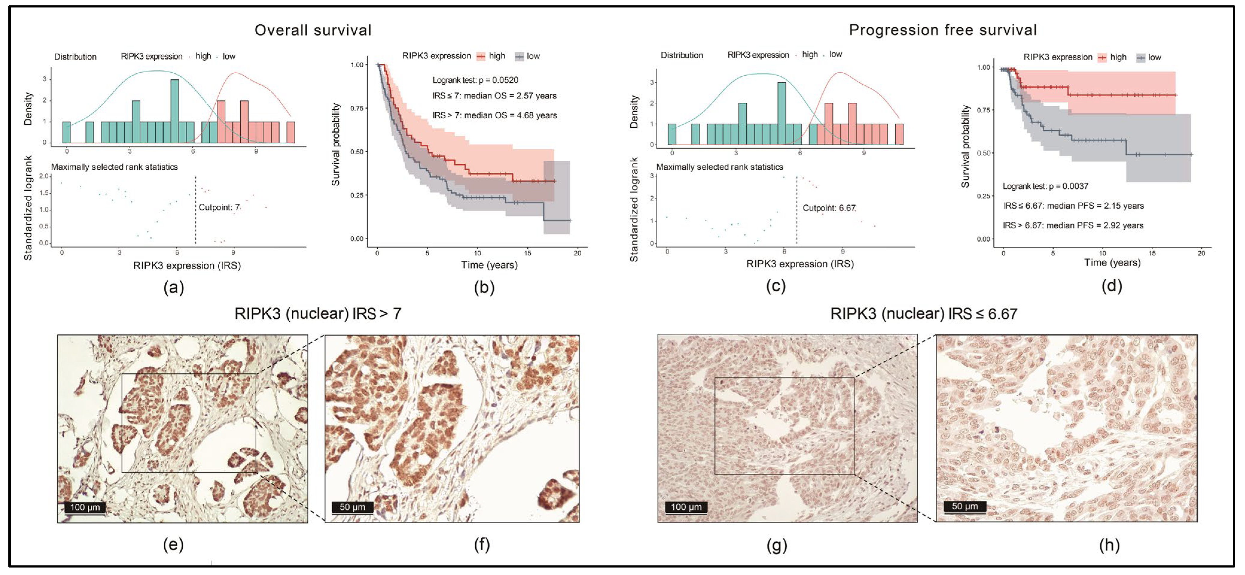 Cancers 17 00271 g007