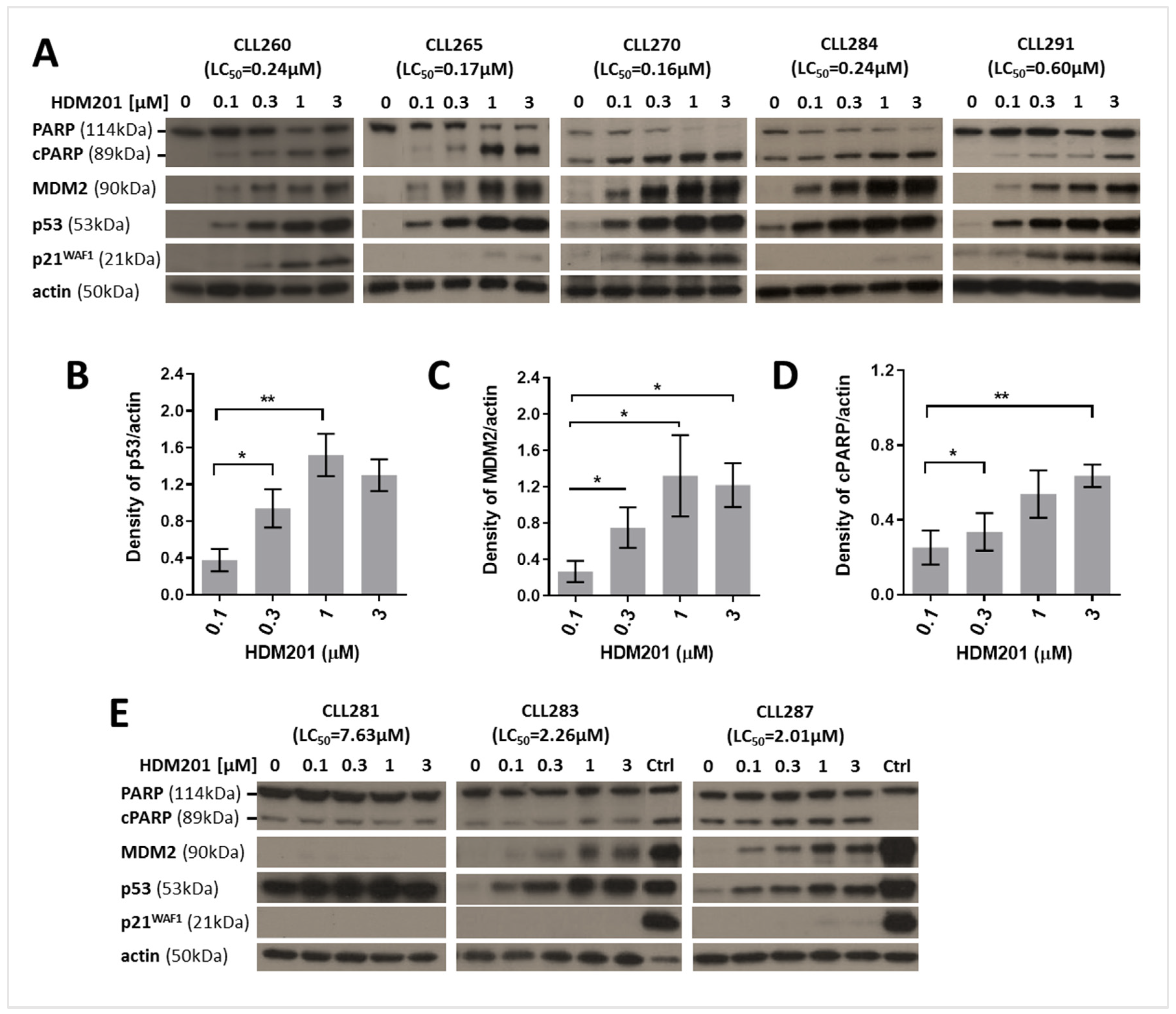 Cancers 17 00274 g003