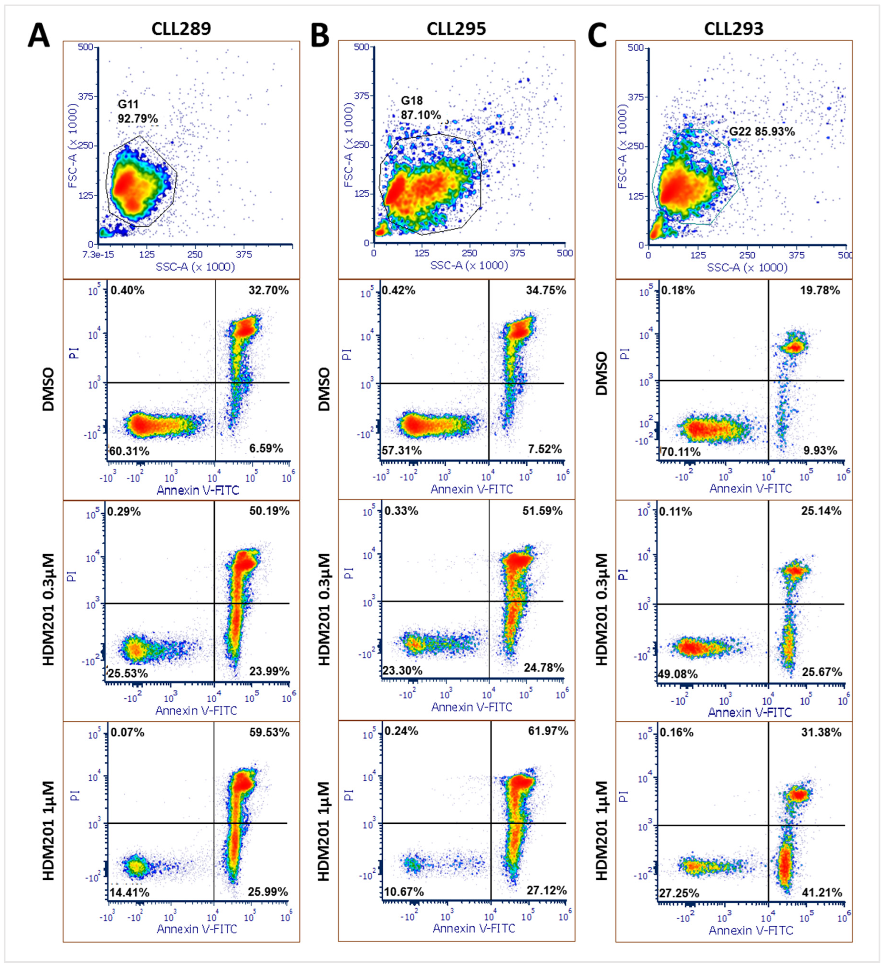 Cancers 17 00274 g004