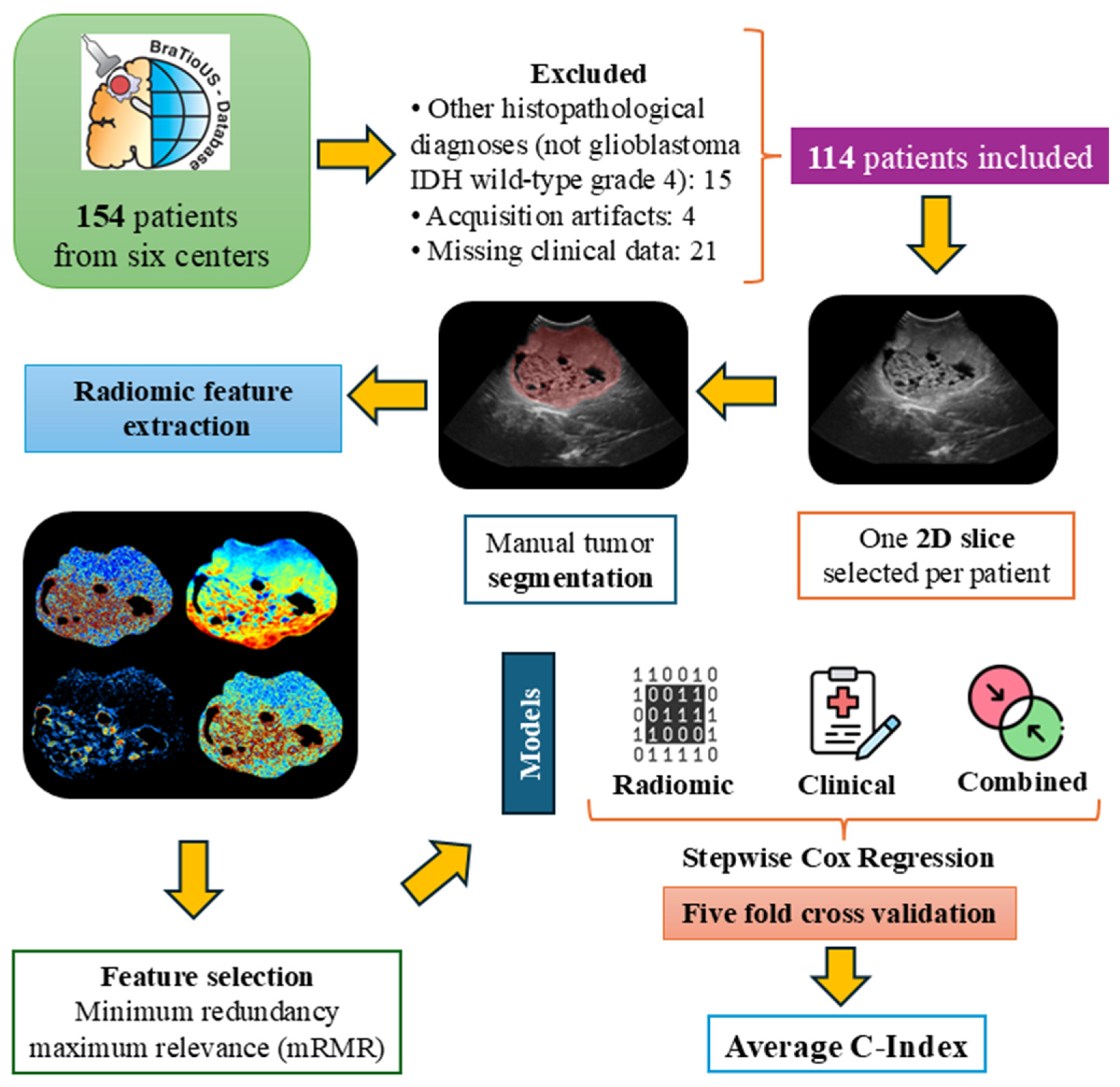 Cancers 17 00280 g001