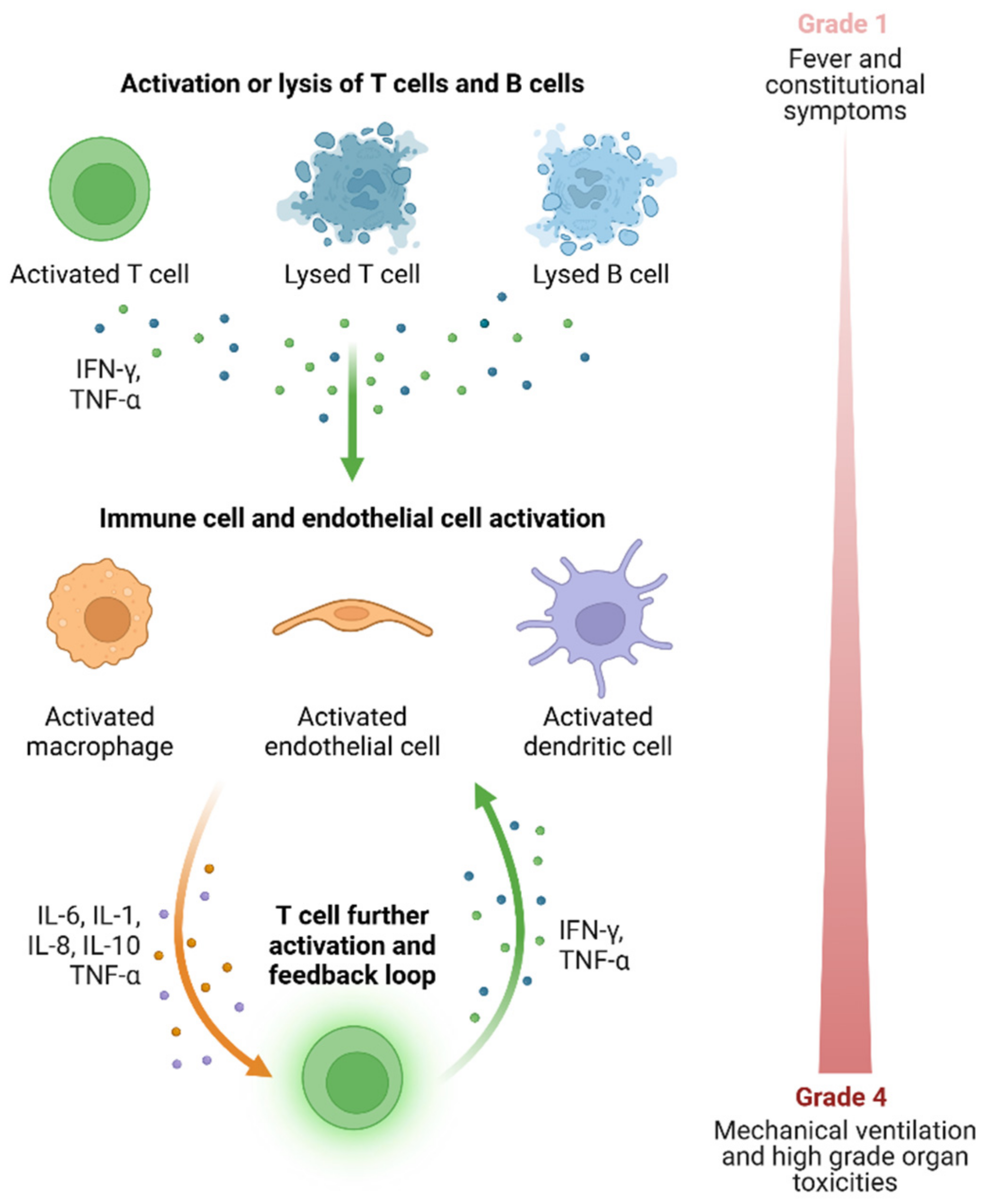 Cancers 17 00282 g001