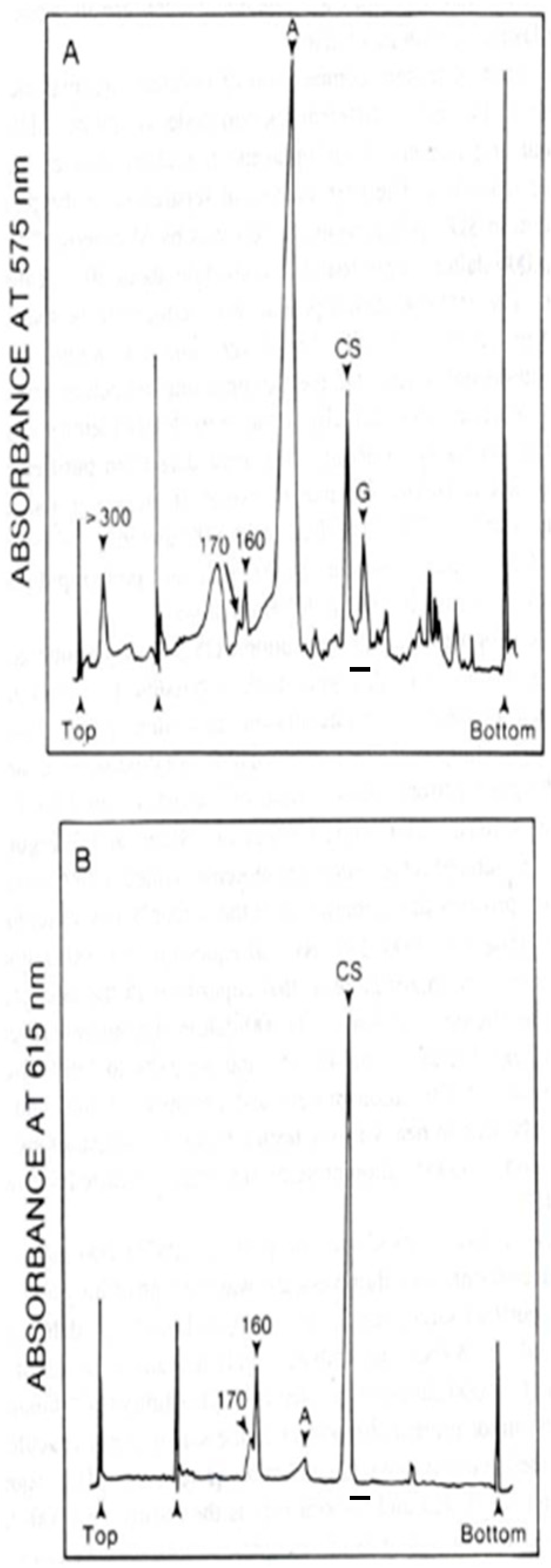 Cancers 17 00288 g001
