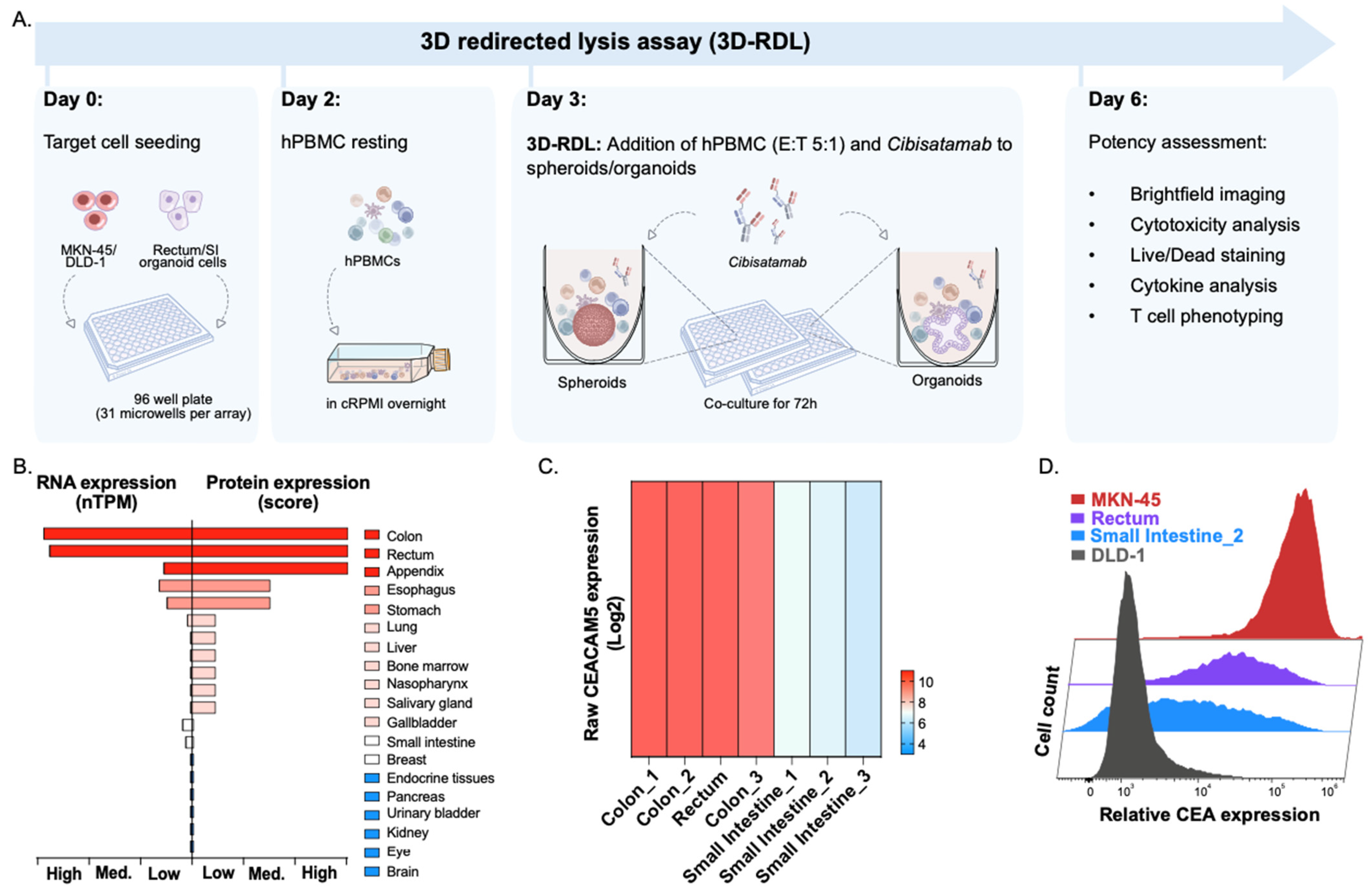 Cancers 17 00291 g001