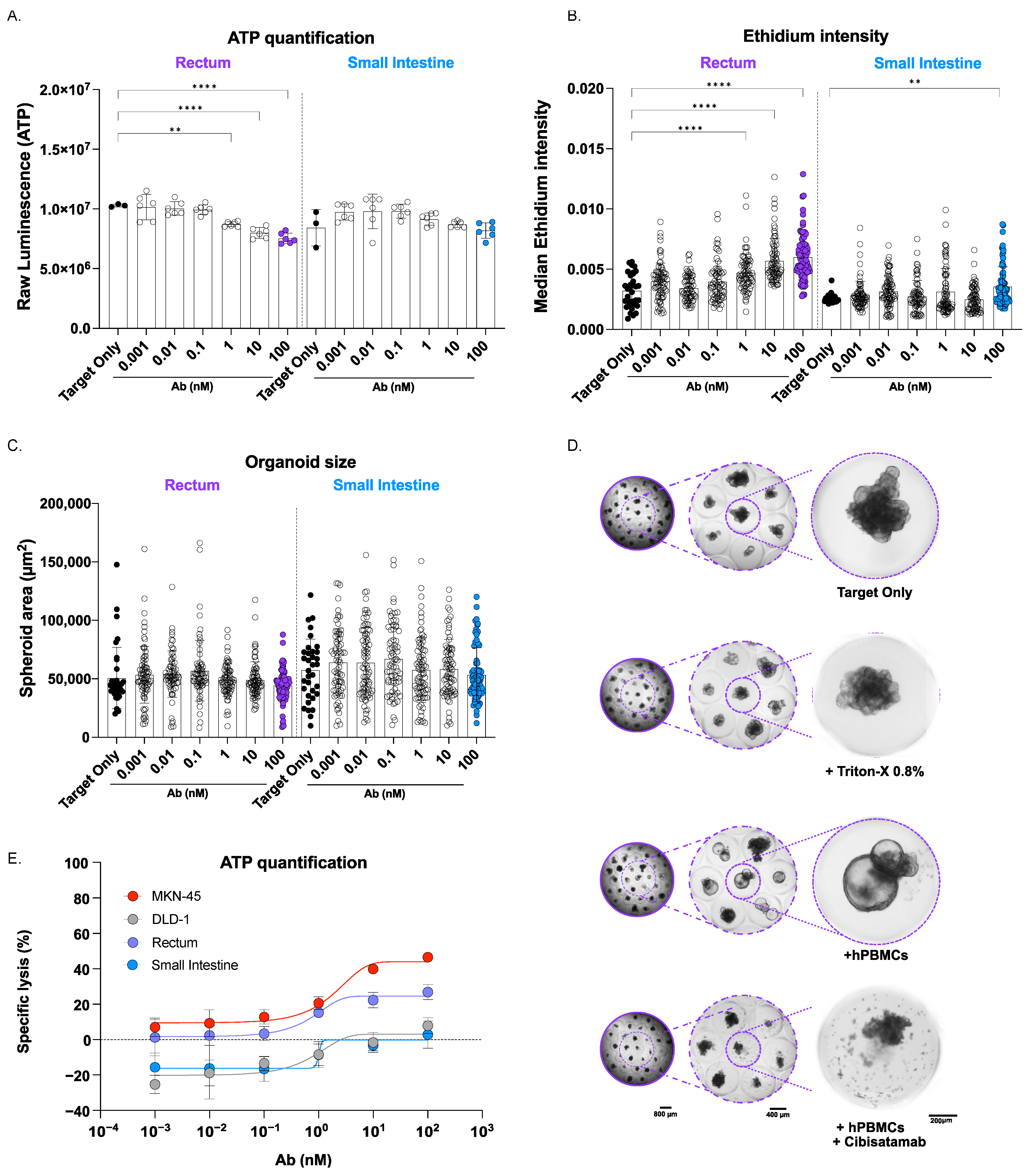 Cancers 17 00291 g004