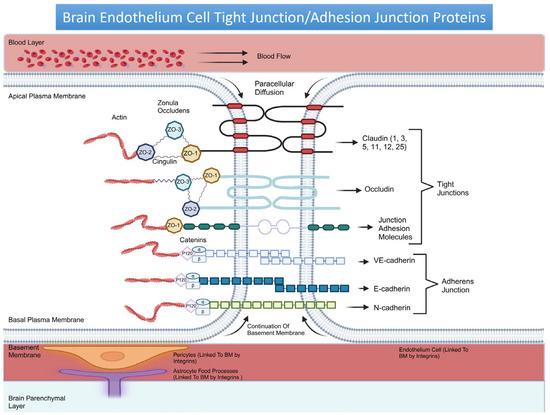 Cancers 17 00298 g001