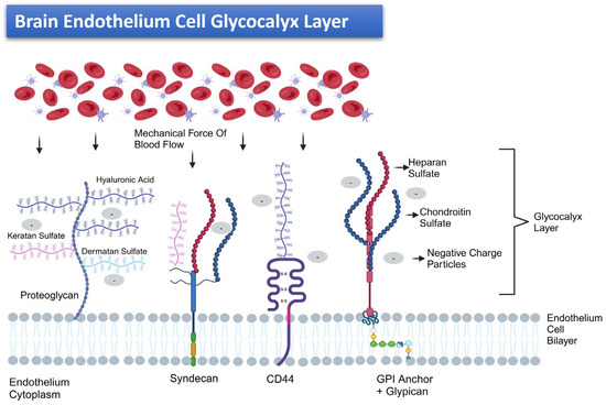 Cancers 17 00298 g002
