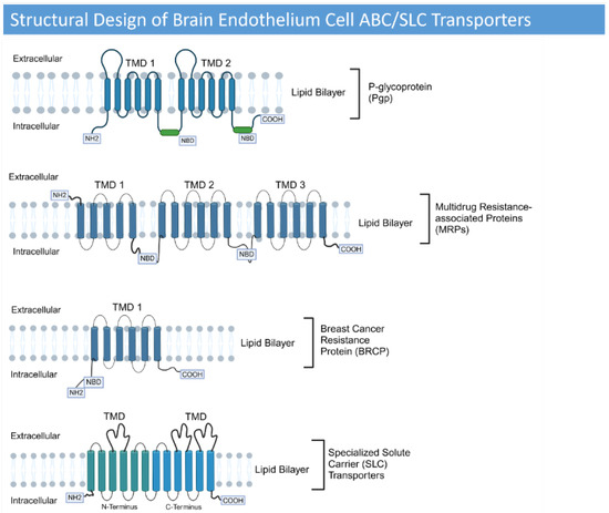 Cancers 17 00298 g003