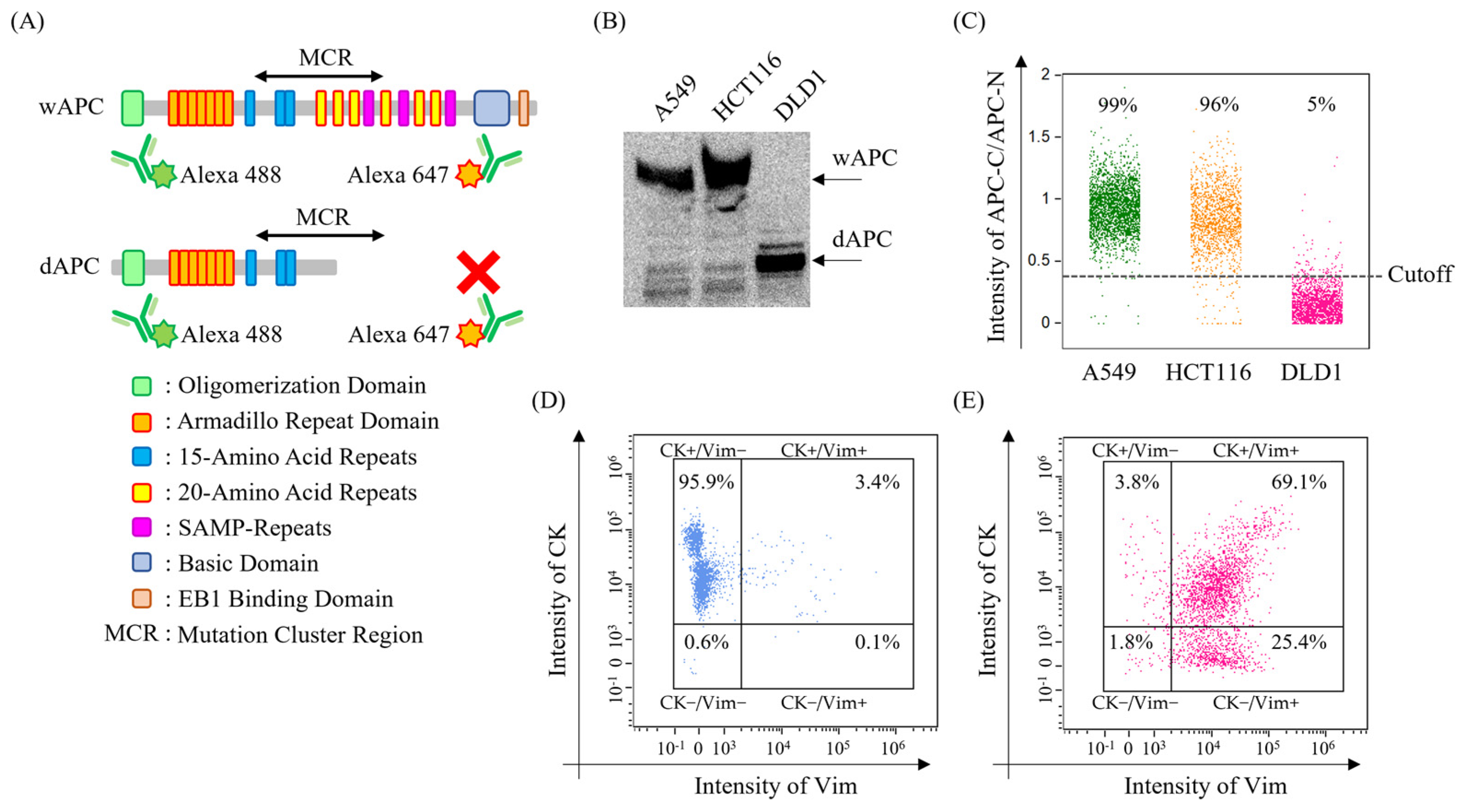 Cancers 17 00303 g002