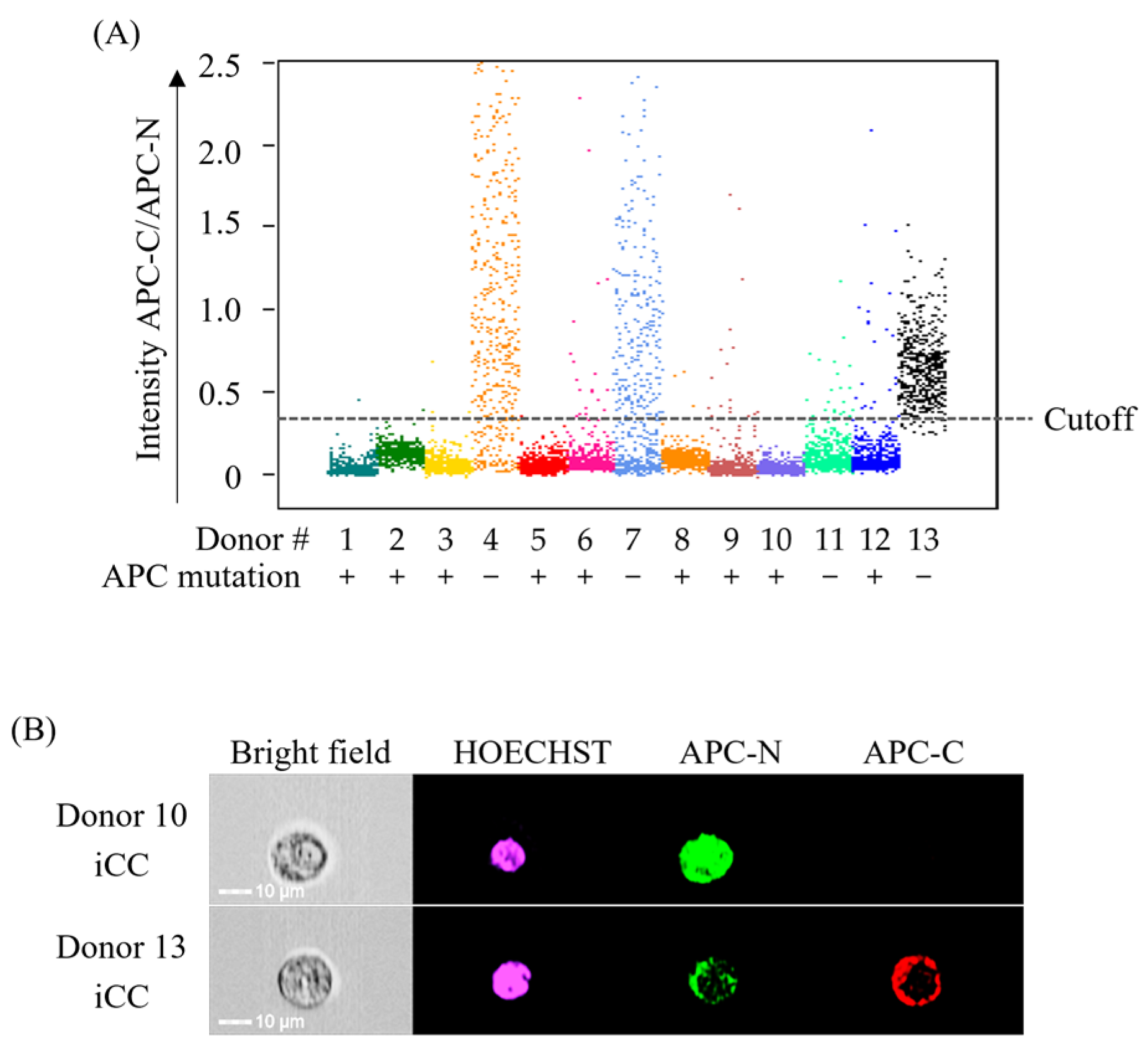 Cancers 17 00303 g003