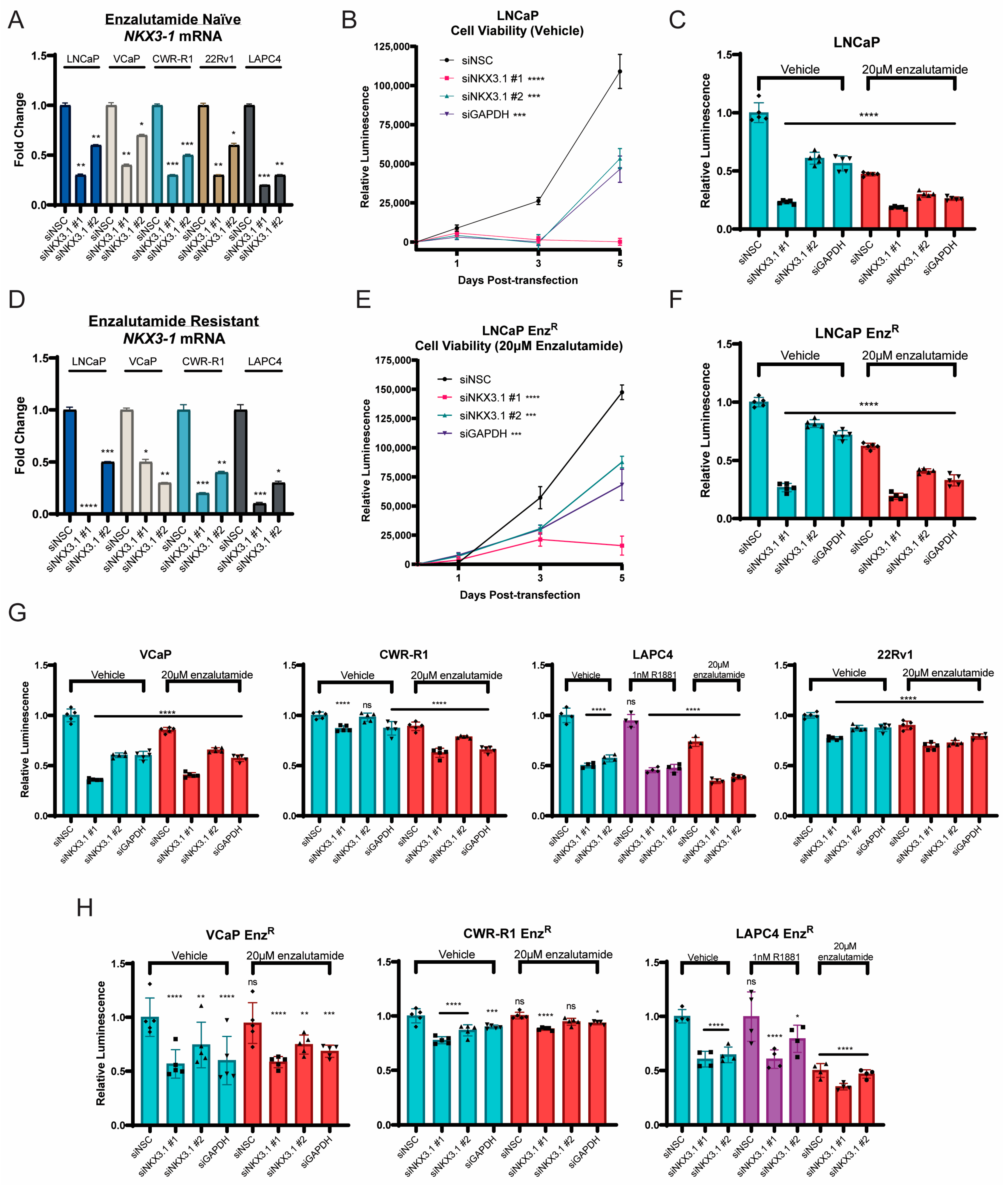 Cancers 17 00306 g002