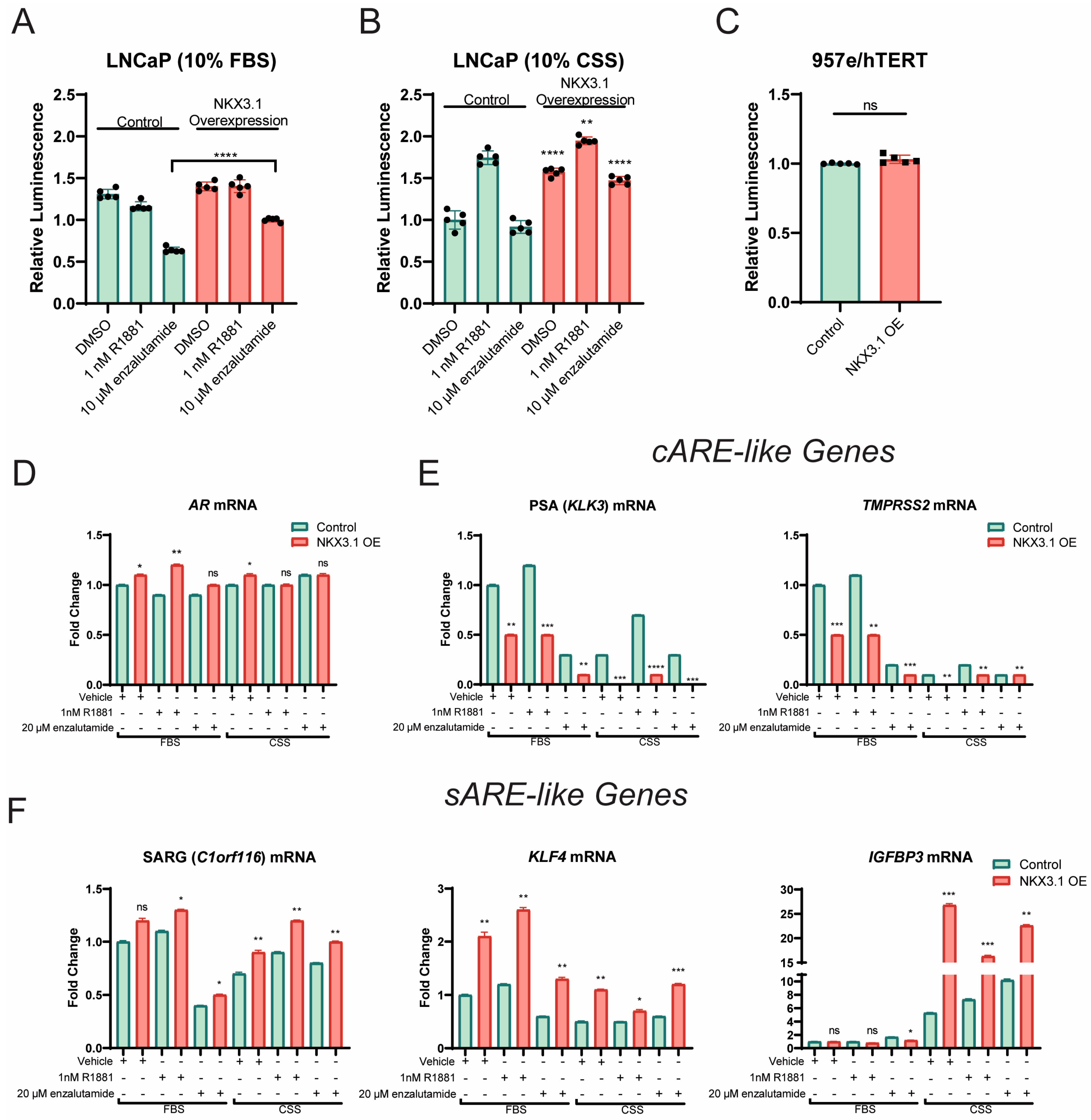Cancers 17 00306 g004