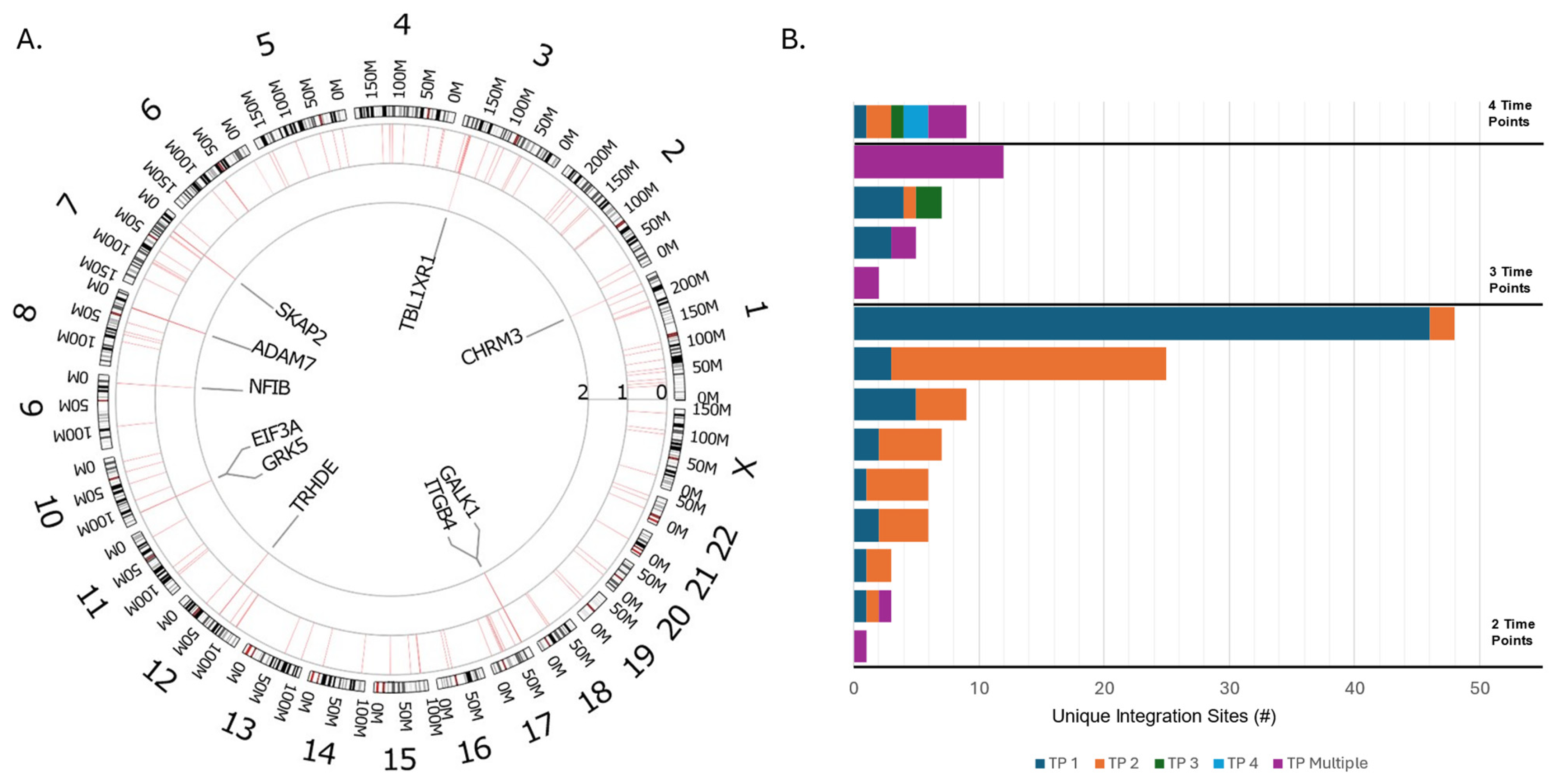 Cancers 17 00308 g002