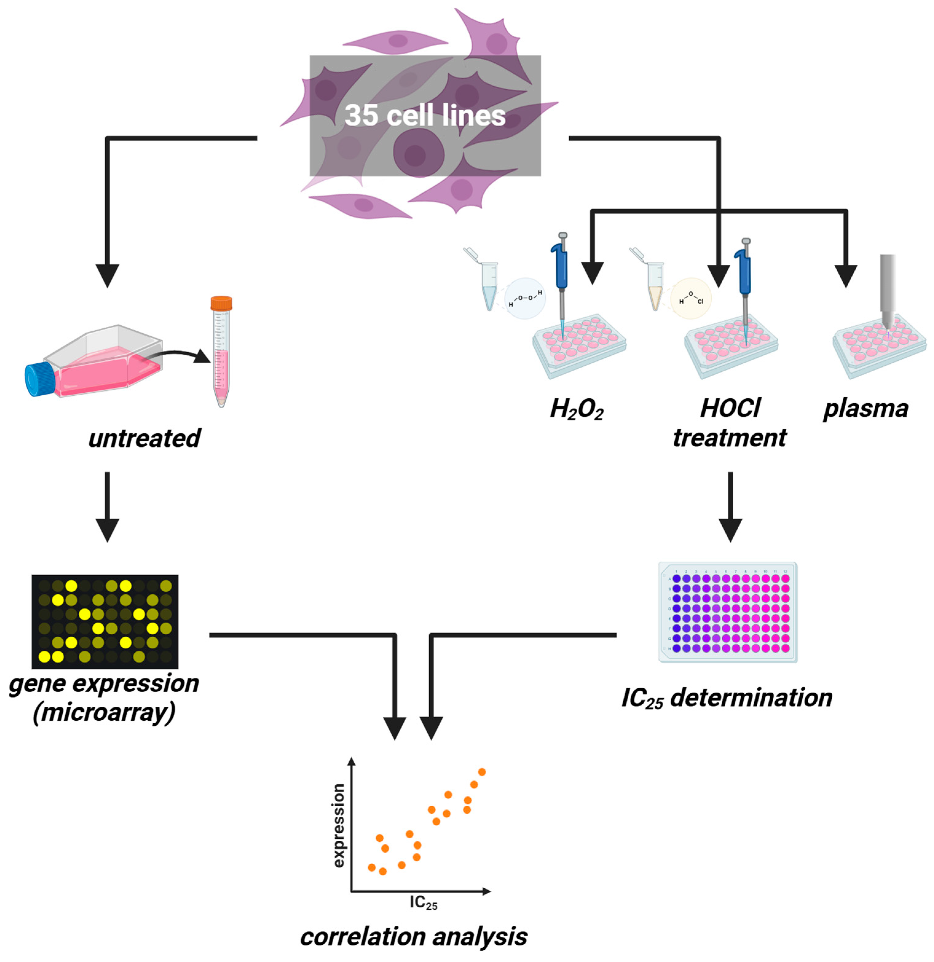Cancers 17 00319 g001