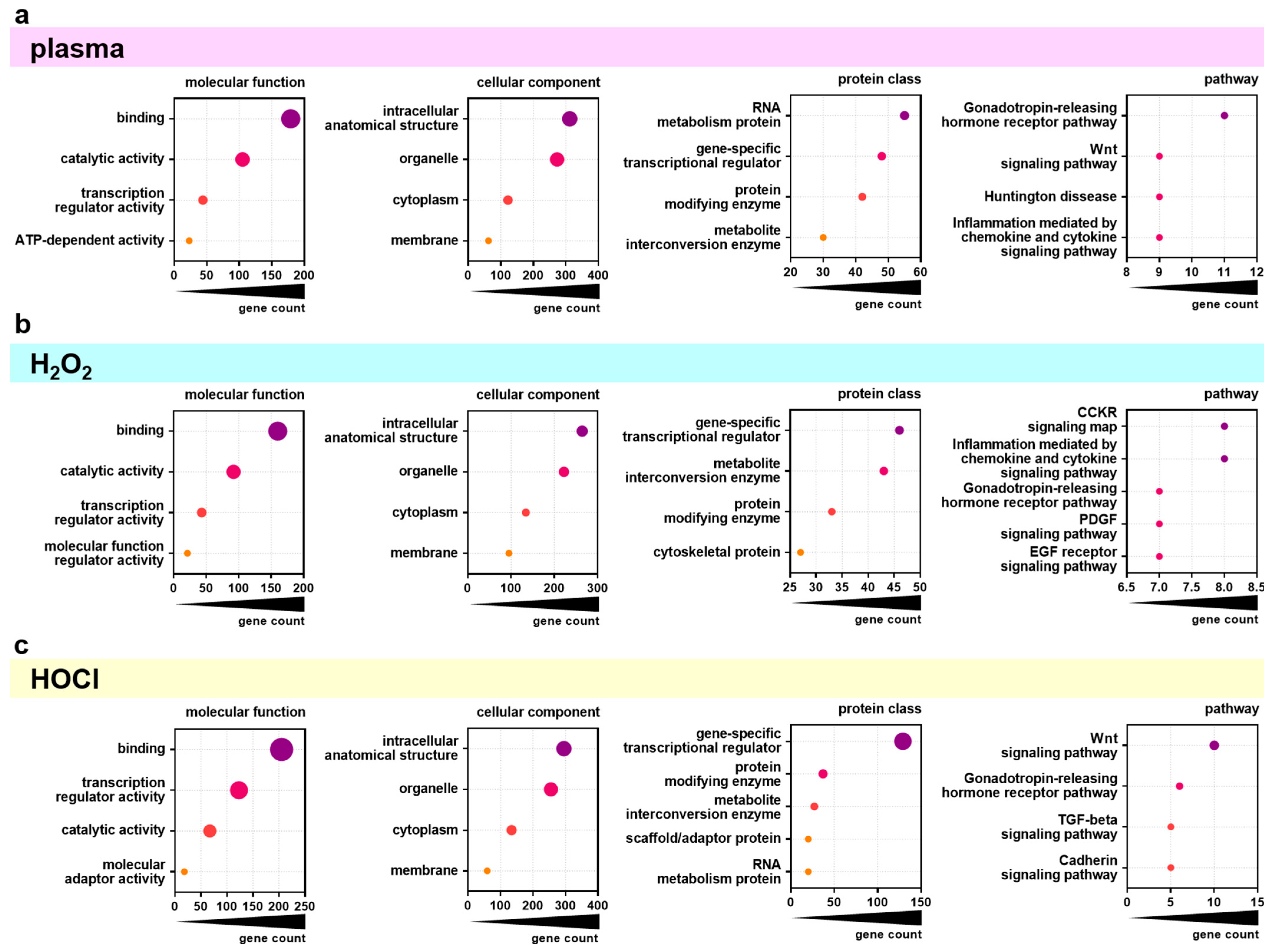 Cancers 17 00319 g004