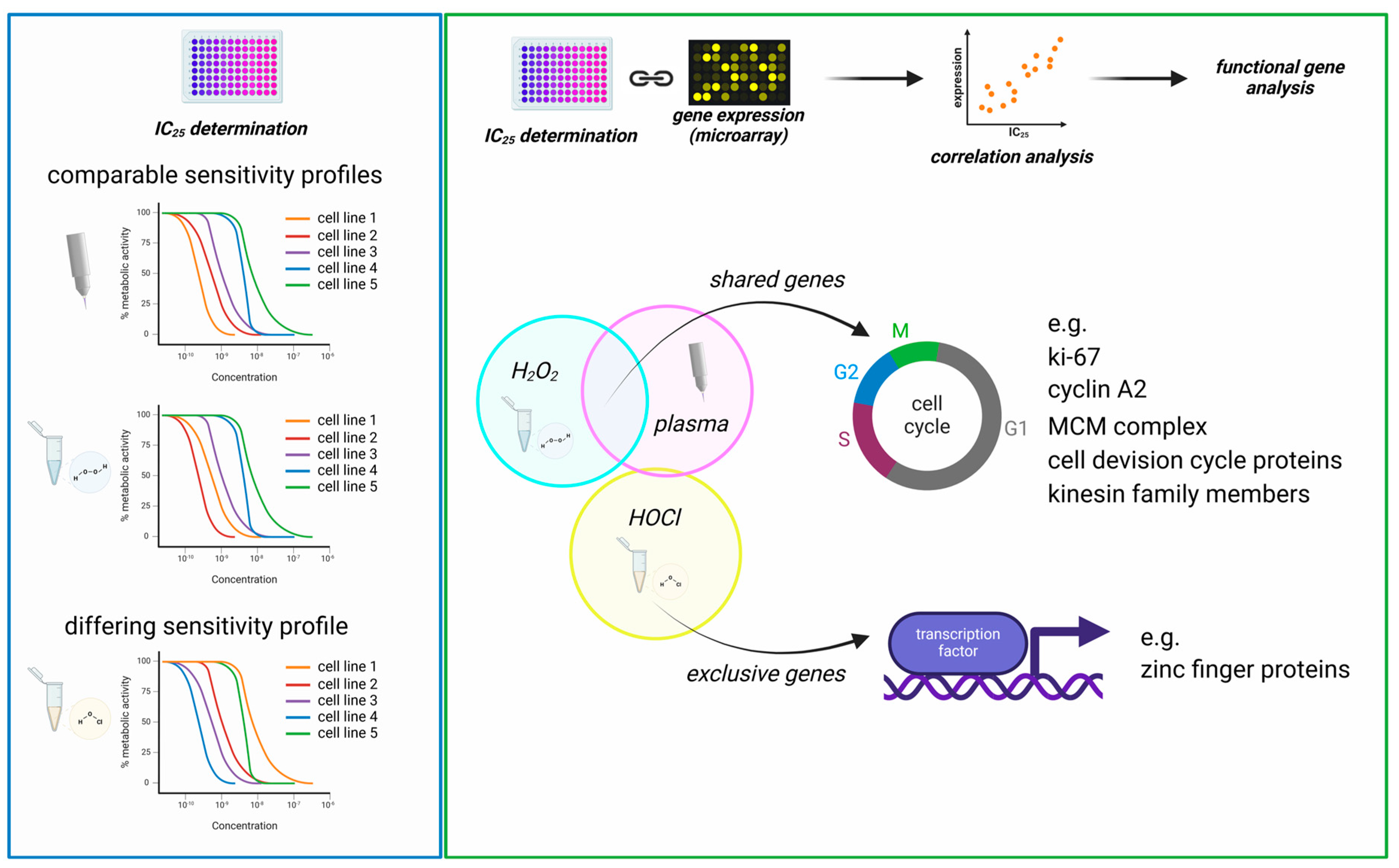 Cancers 17 00319 g005