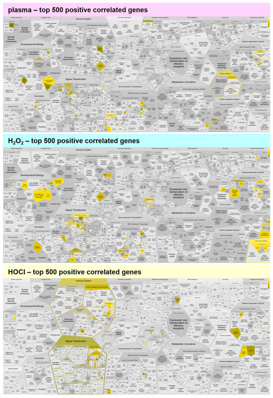 Cancers 17 00319 g0a2