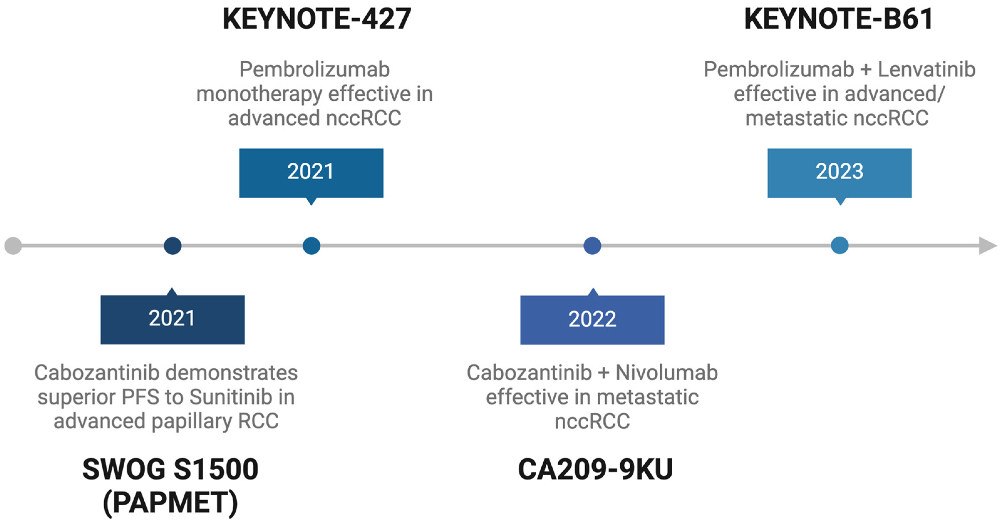 Cancers 17 00326 g001