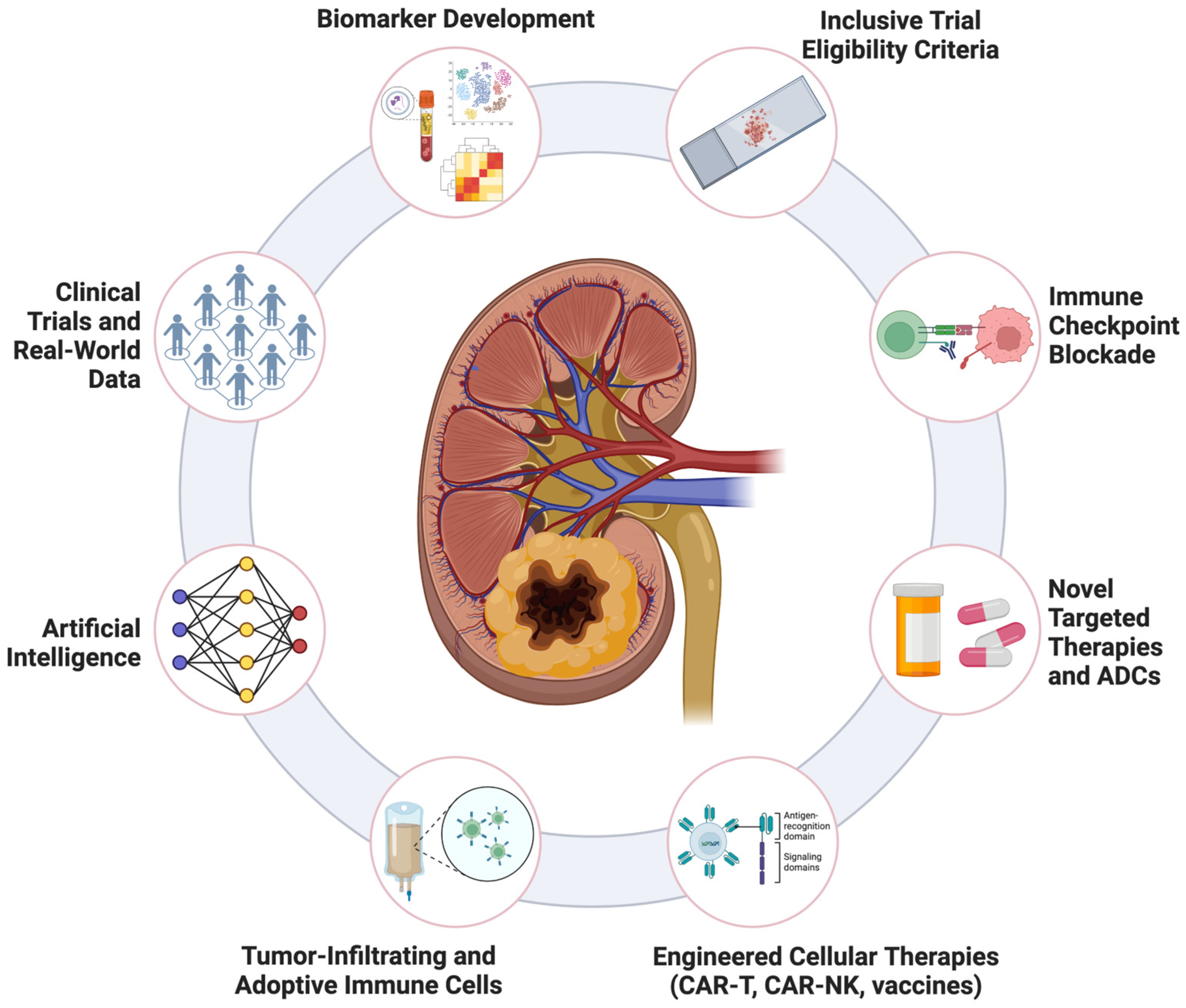 Cancers 17 00326 g002