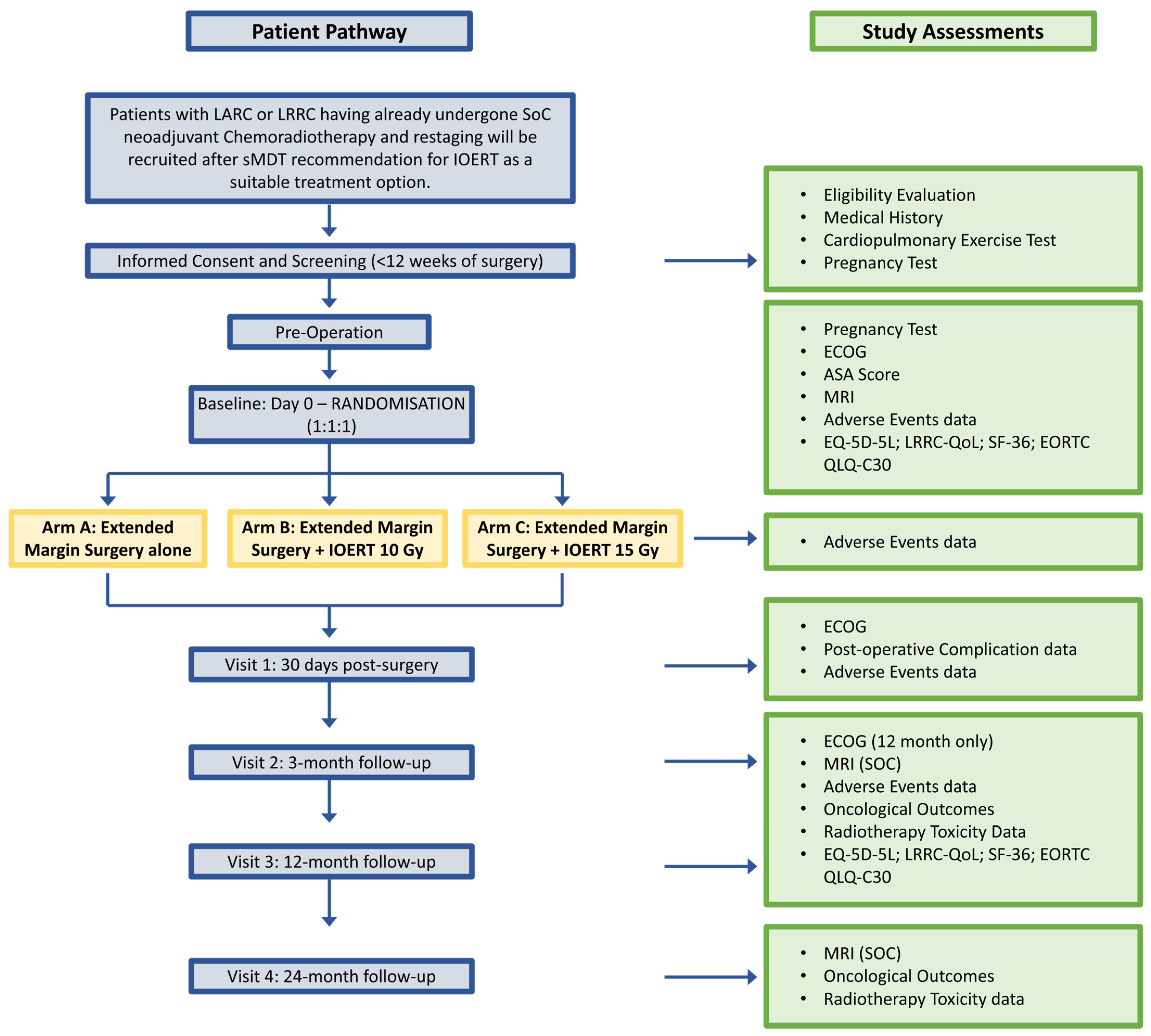 Cancers 17 00341 g001