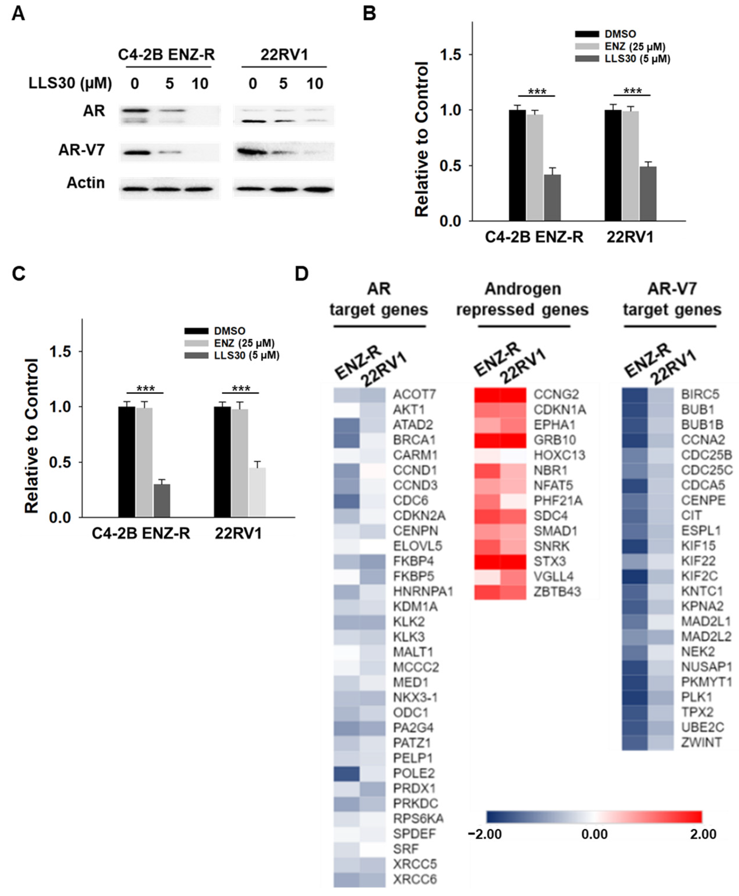 Cancers 17 00351 g004