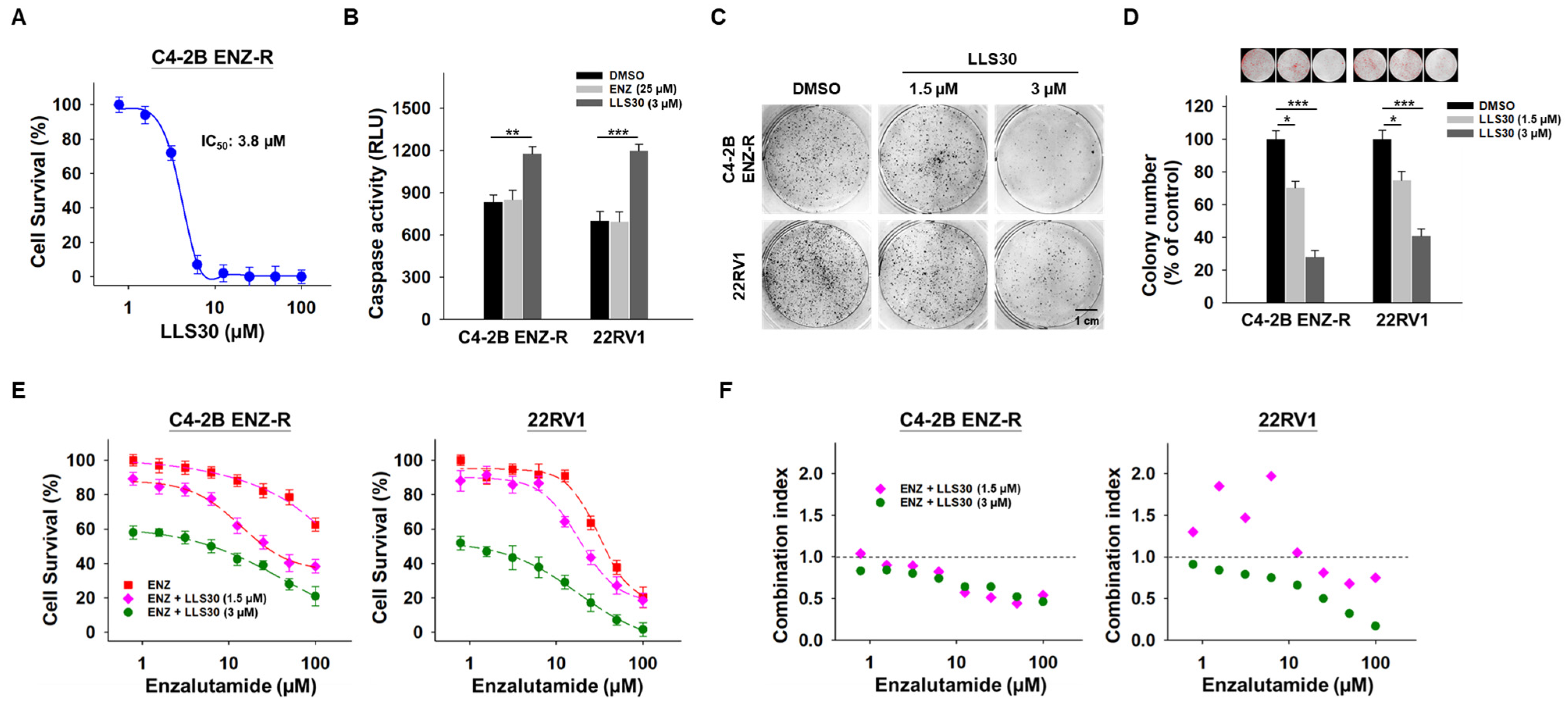 Cancers 17 00351 g005