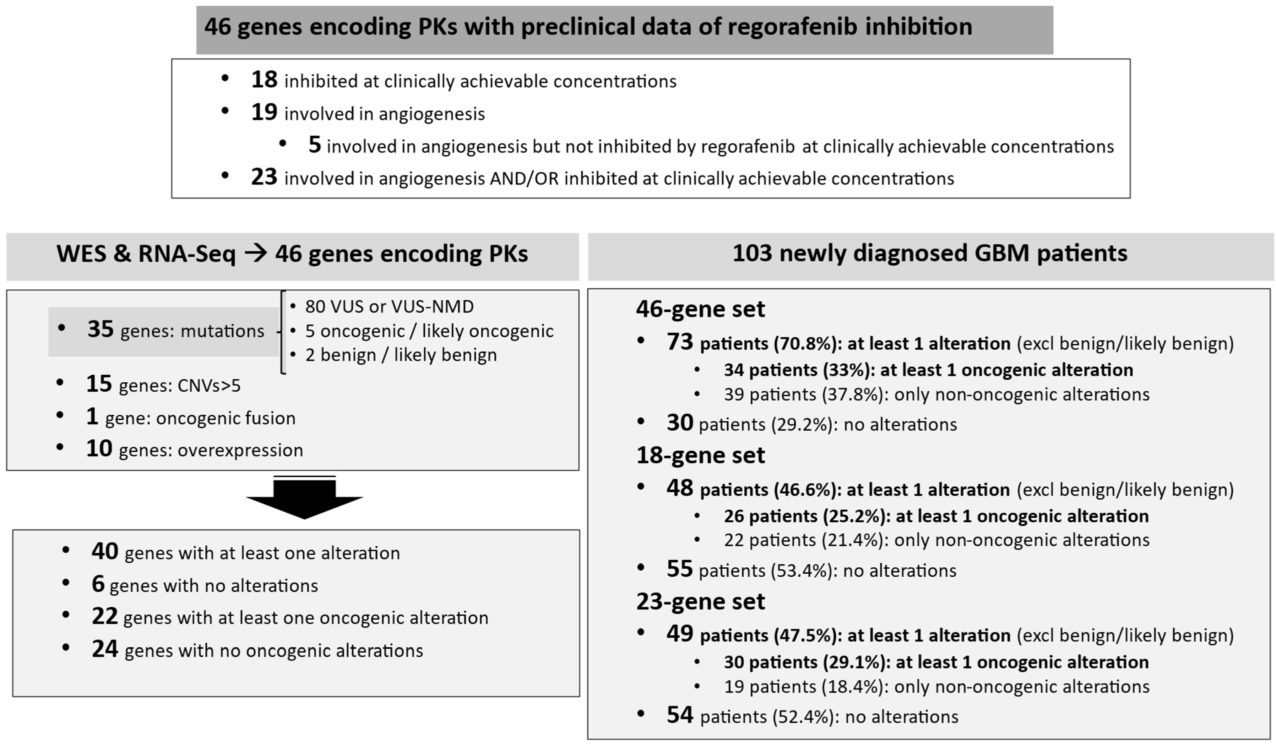 Cancers 17 00375 g003