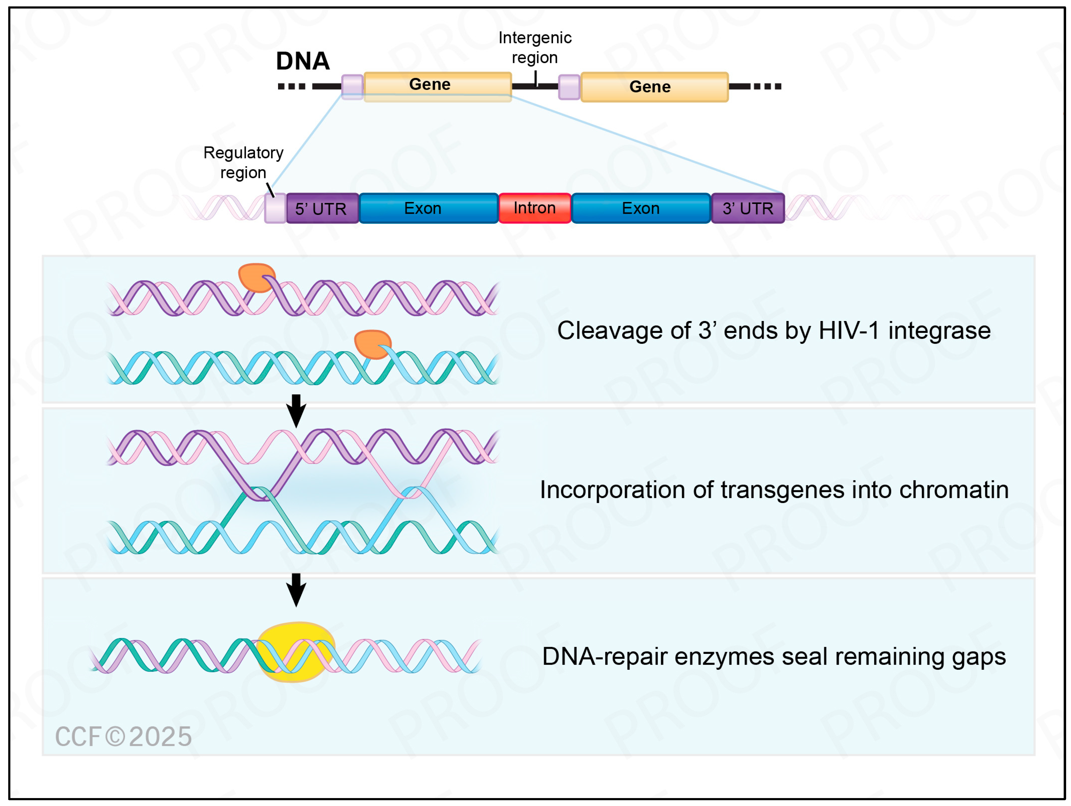 Cancers 17 00383 g002