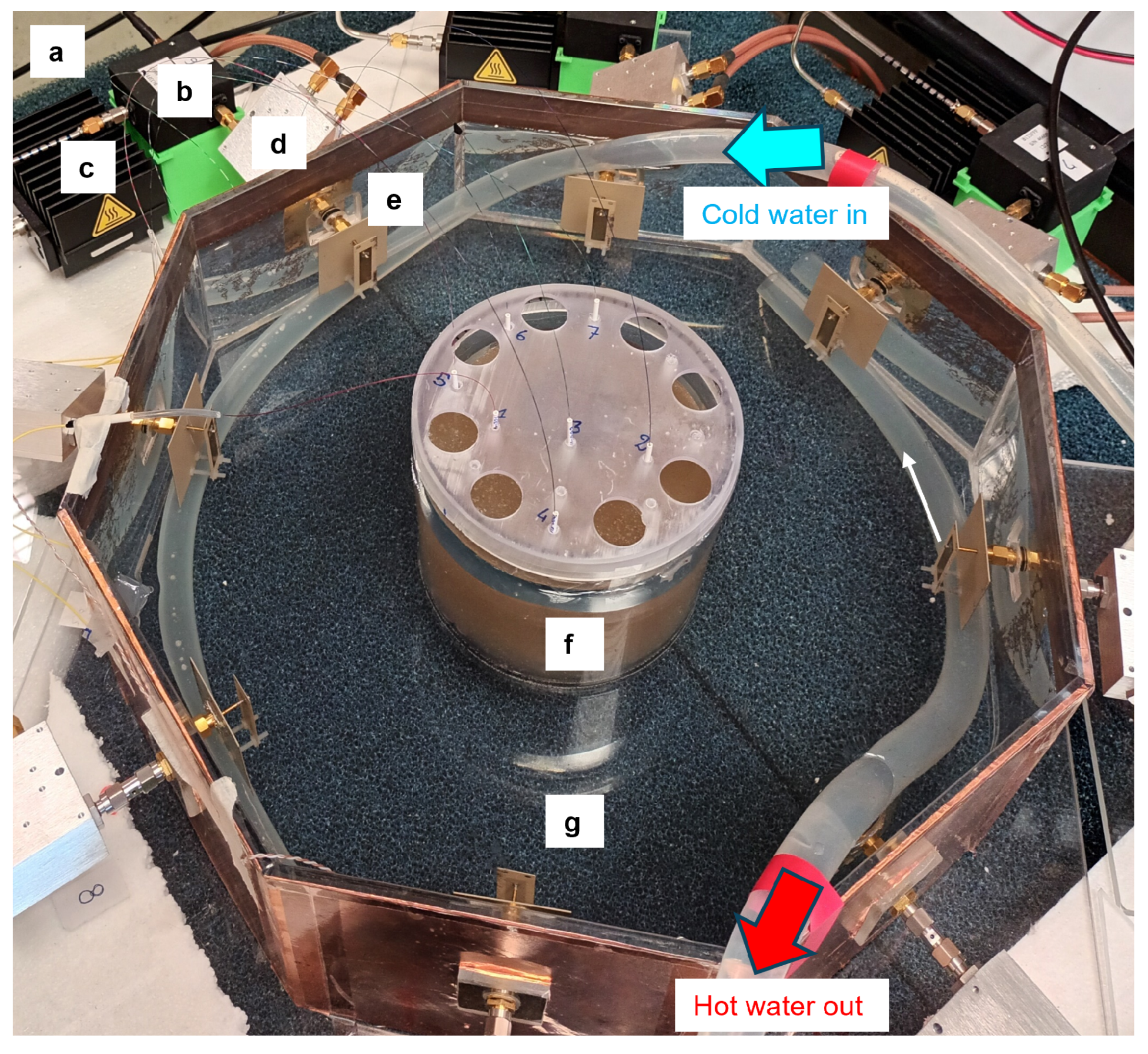 Cancers 17 00386 g006