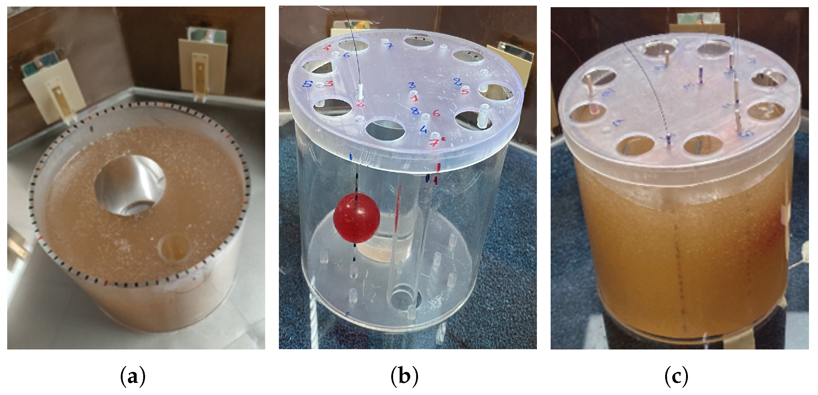 Cancers 17 00386 g008