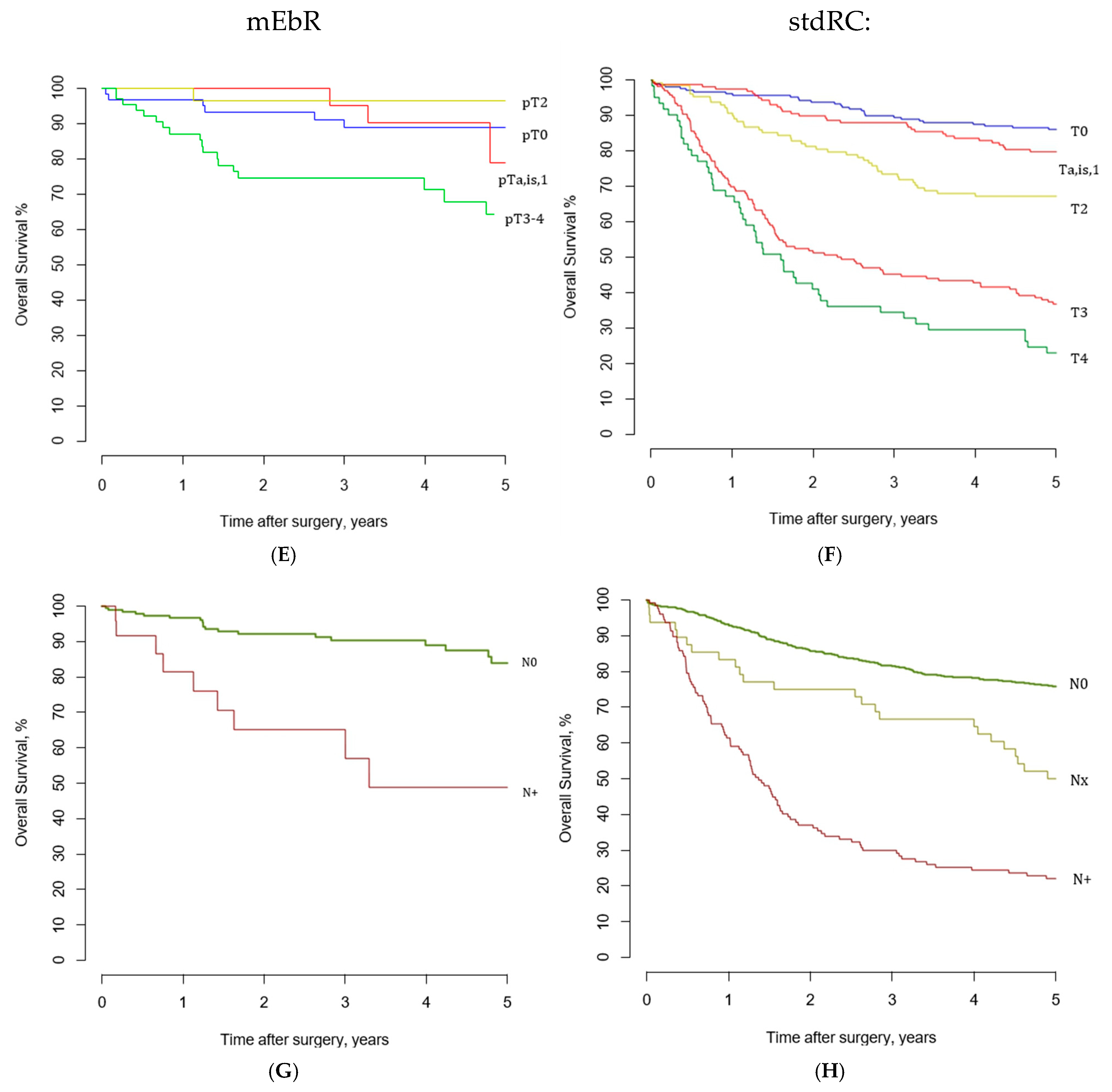 Cancers 17 00404 g002b