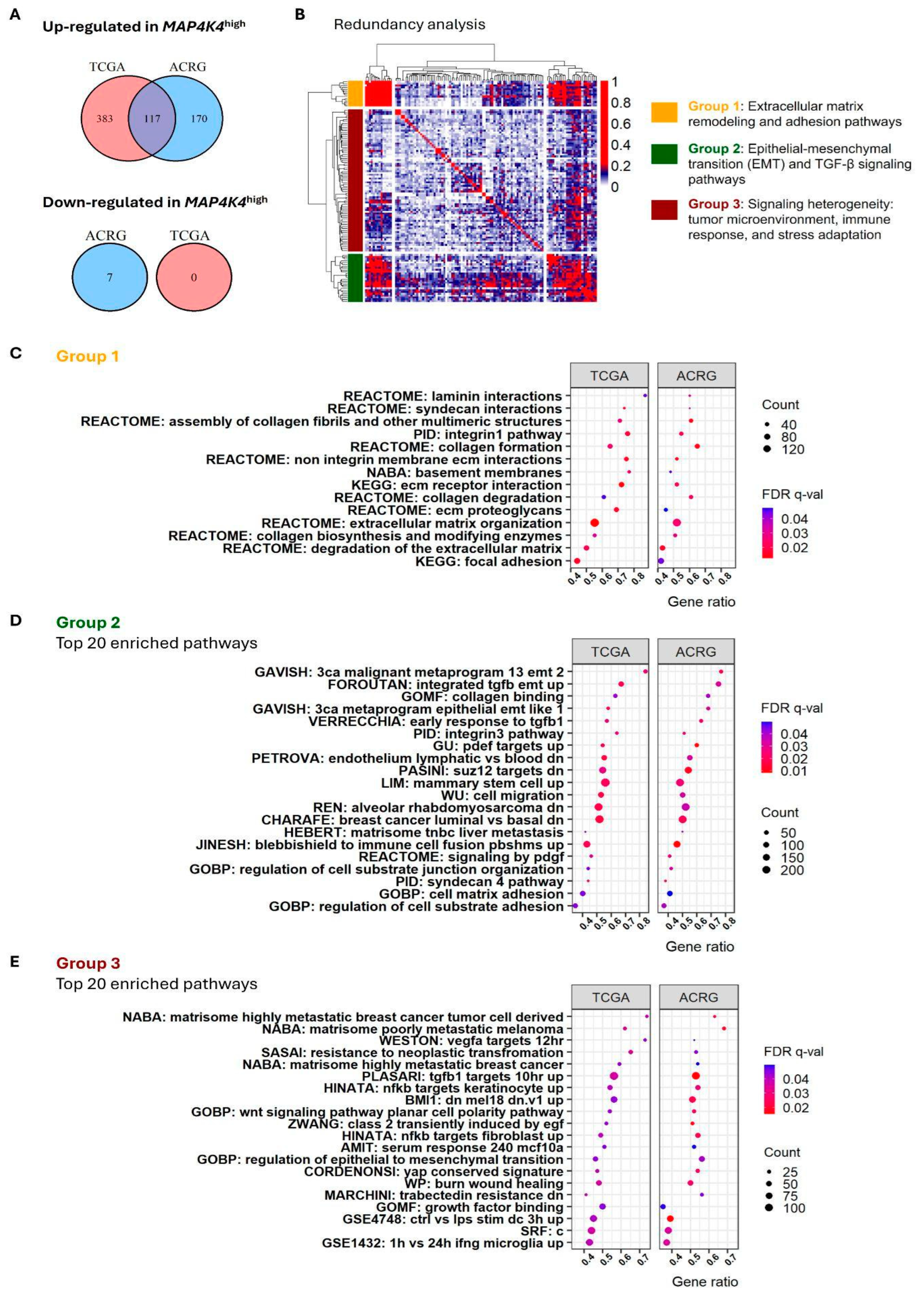 Cancers 17 00412 g004