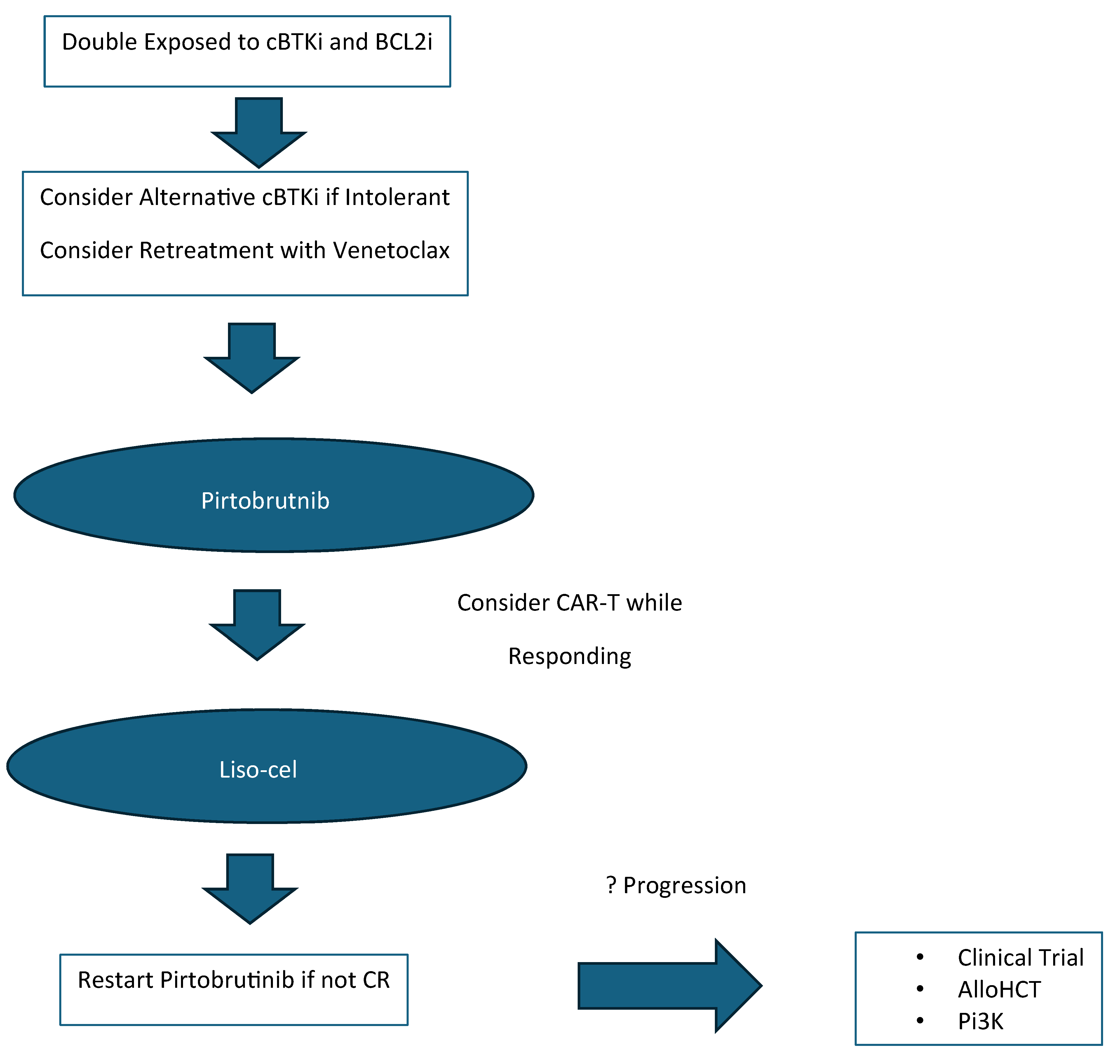 Cancers 17 00430 g001