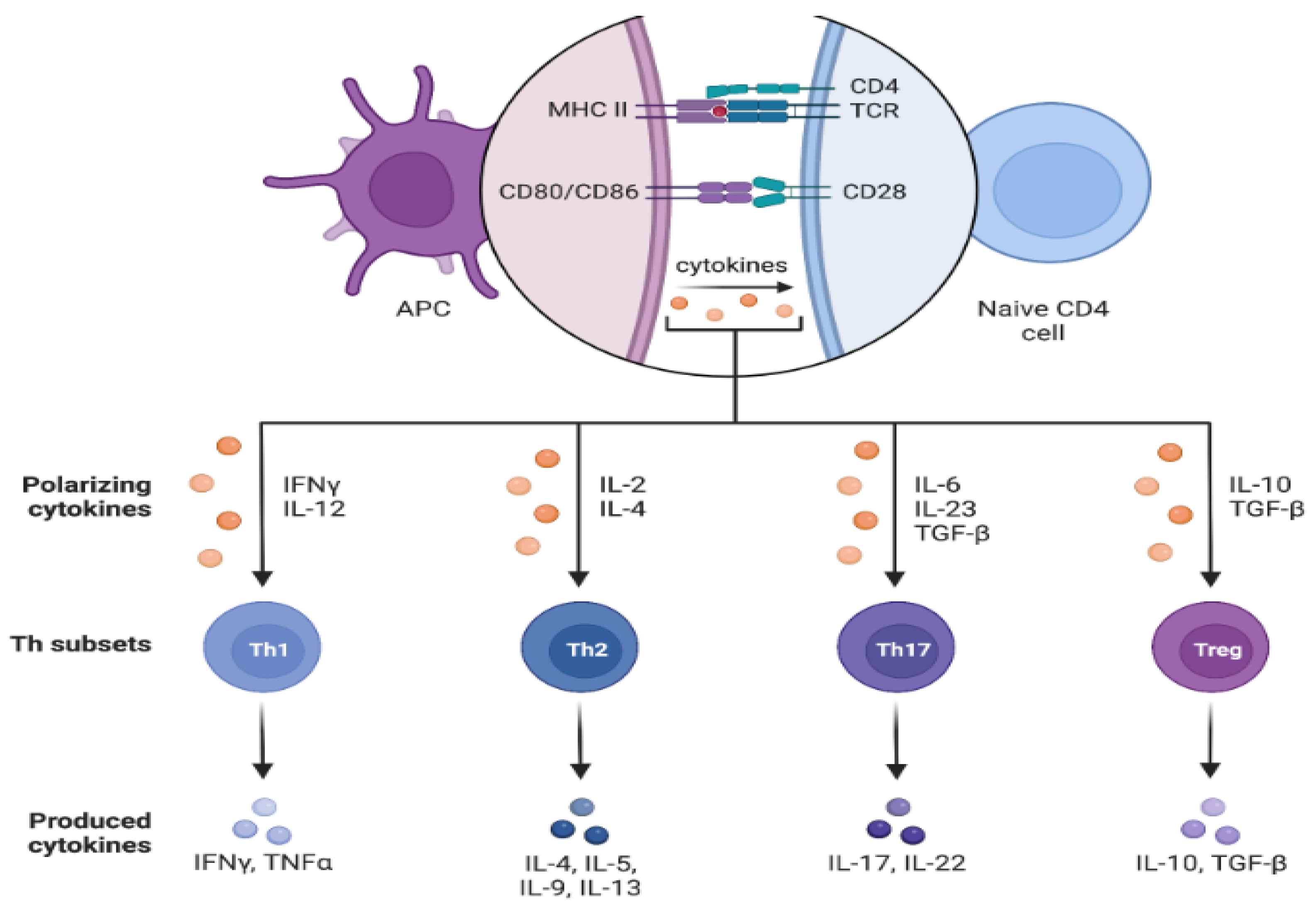Cancers 17 00436 g001