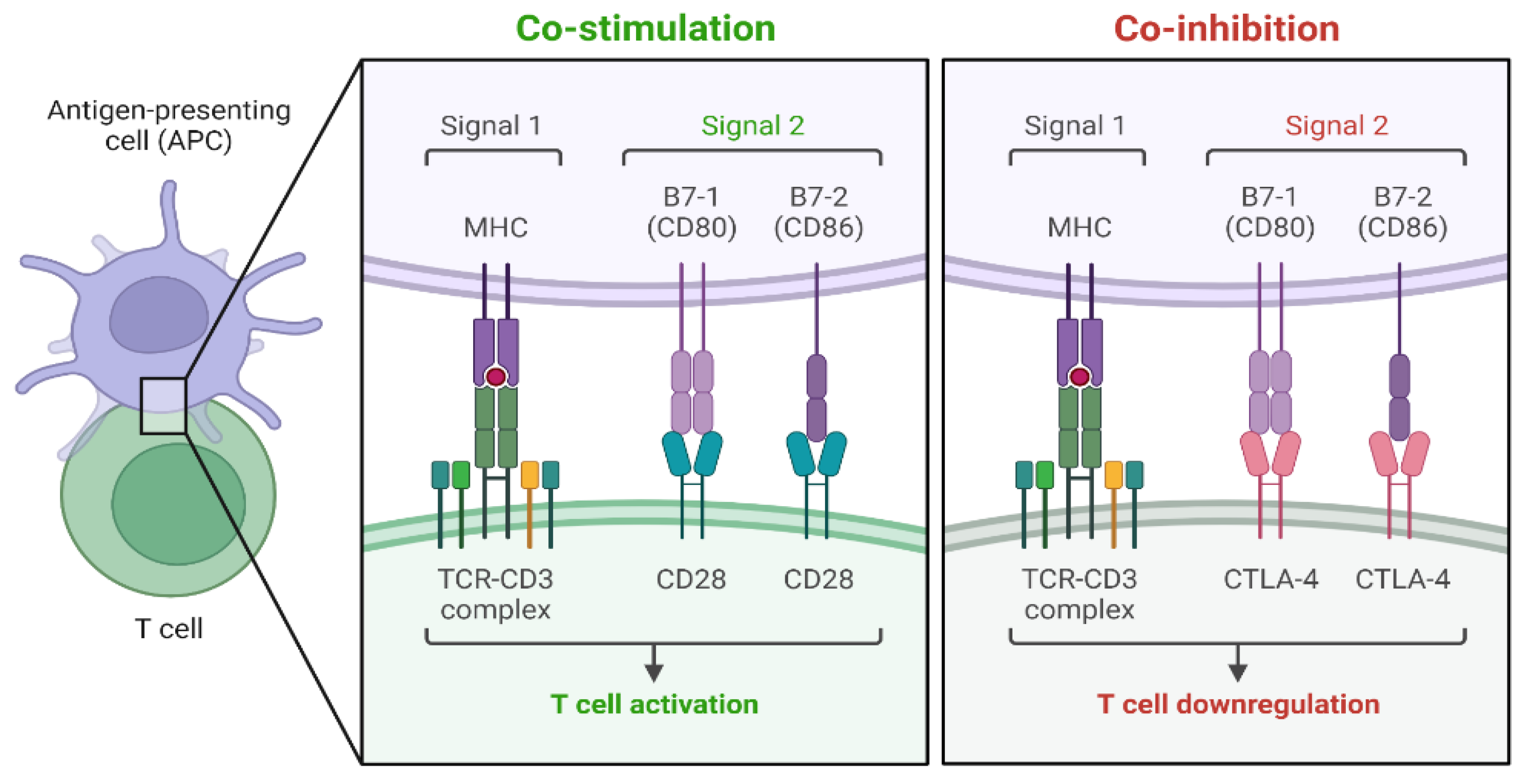 Cancers 17 00436 g002