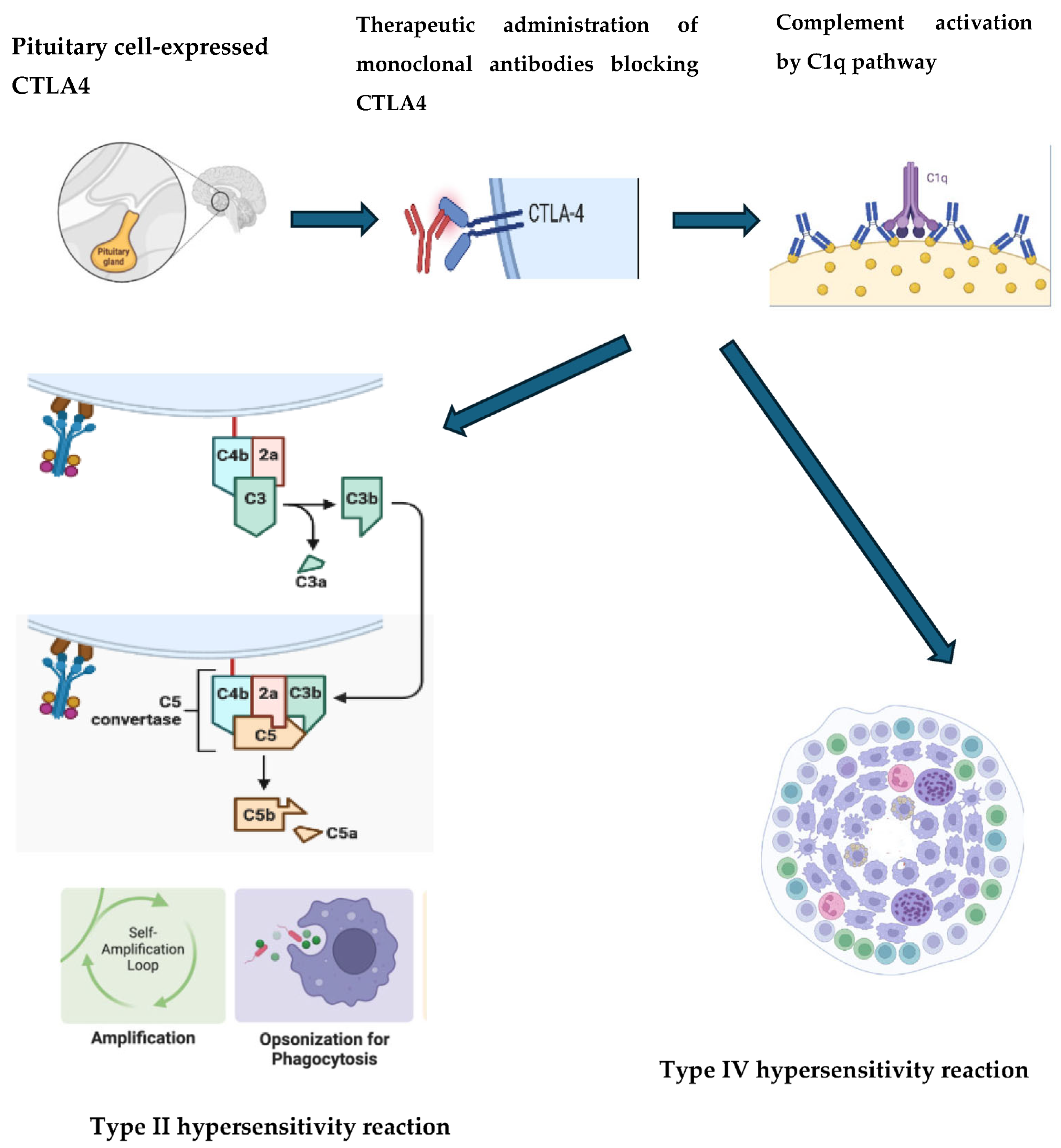 Cancers 17 00436 g004